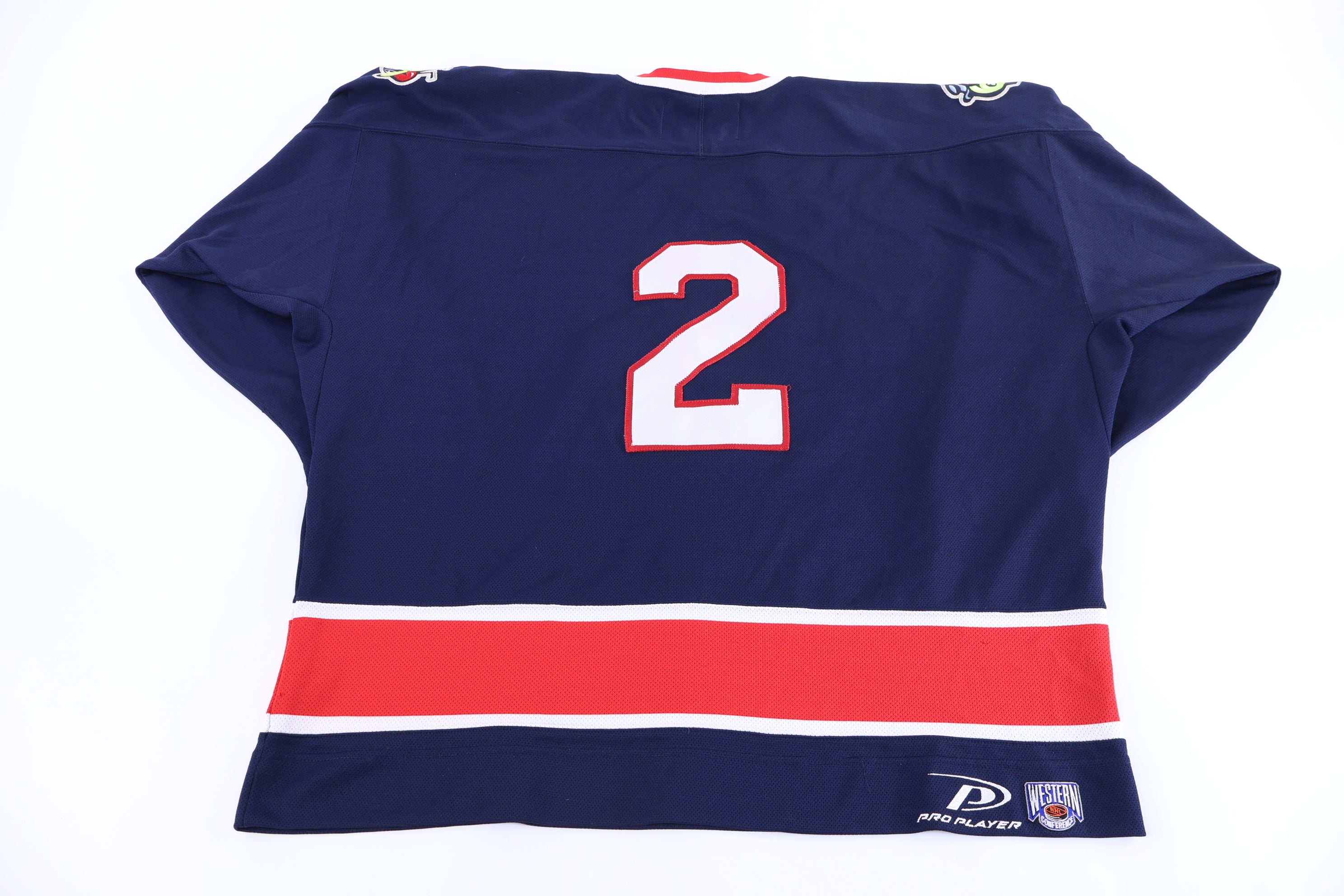Vintage Columbus Blue Jackets Hockey Jersey