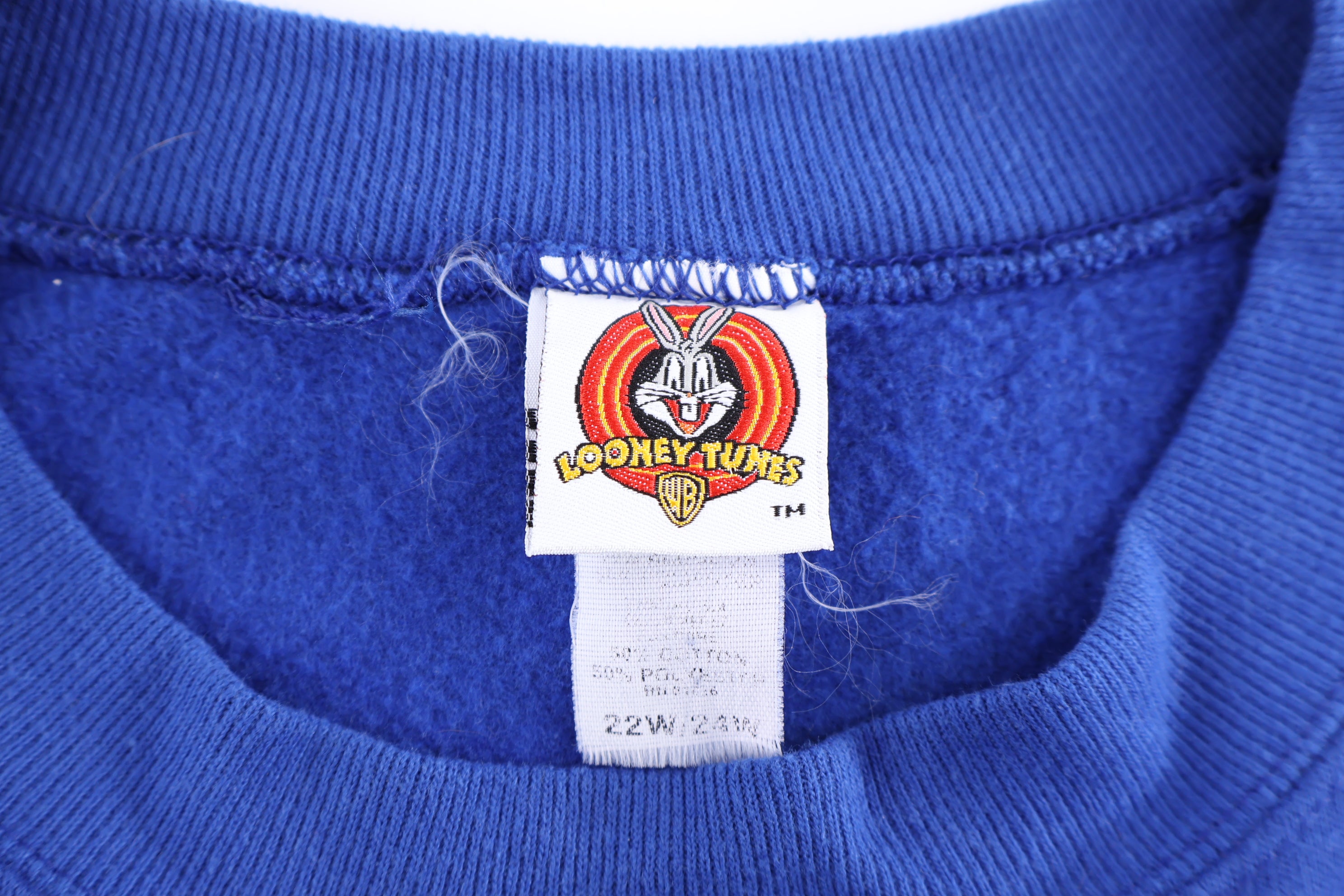 90's Looney Tunes Tweety Bird Sweatshirt