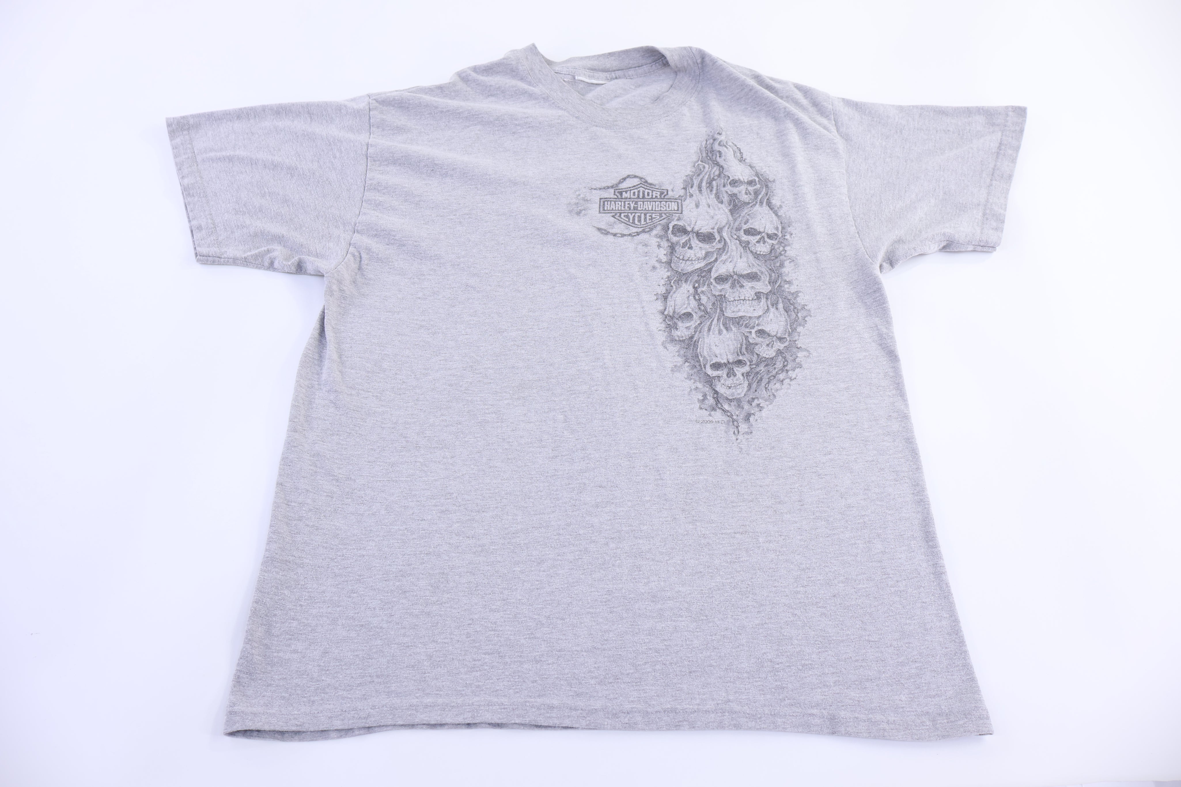 Harley Davidson Motorcycles Illinois T-shirt