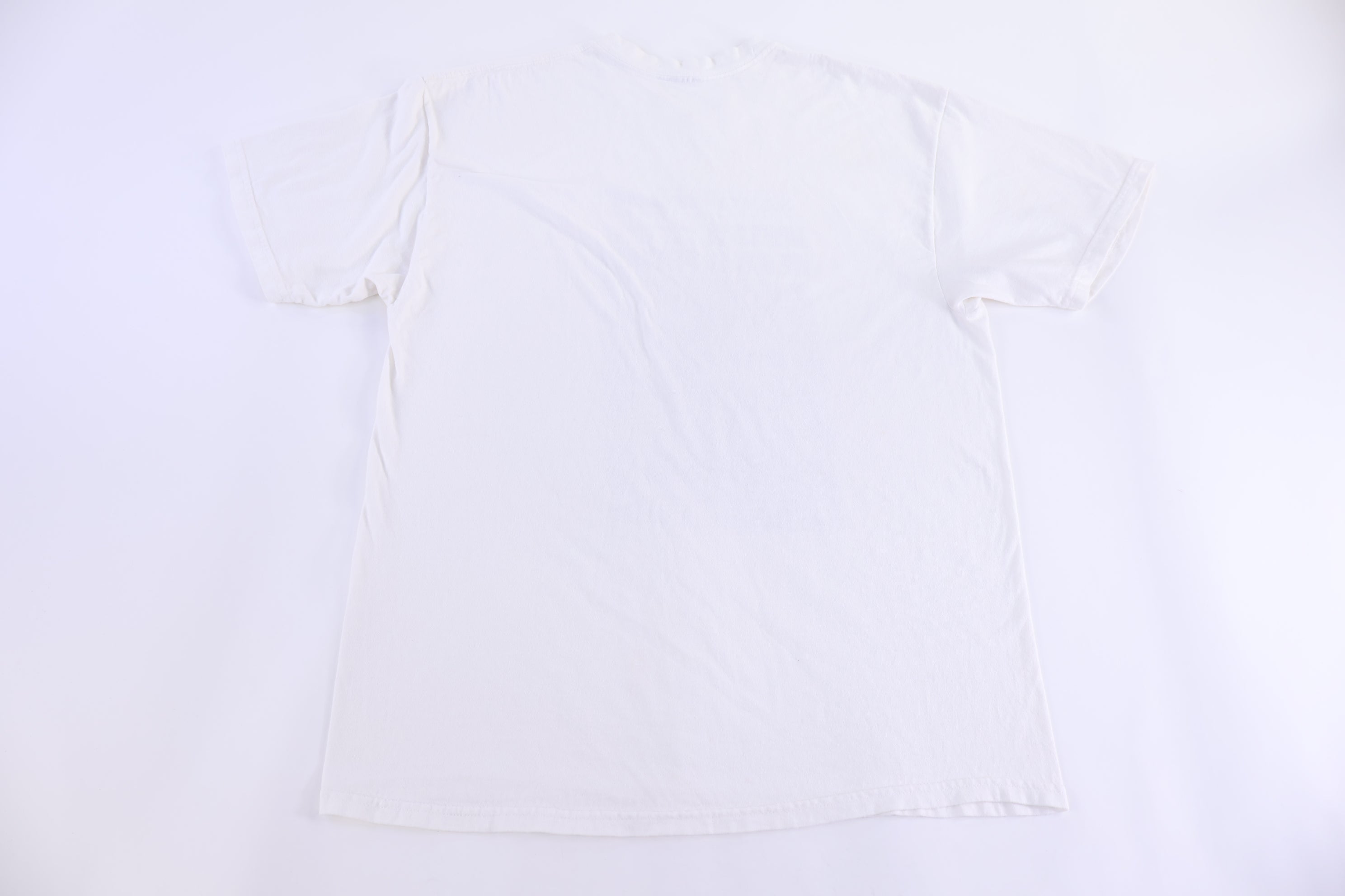 2005 Houston Astros We Have A Pennant T-shirt