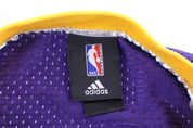 Steve Nash Los Angeles Lakers Basketball Jersey