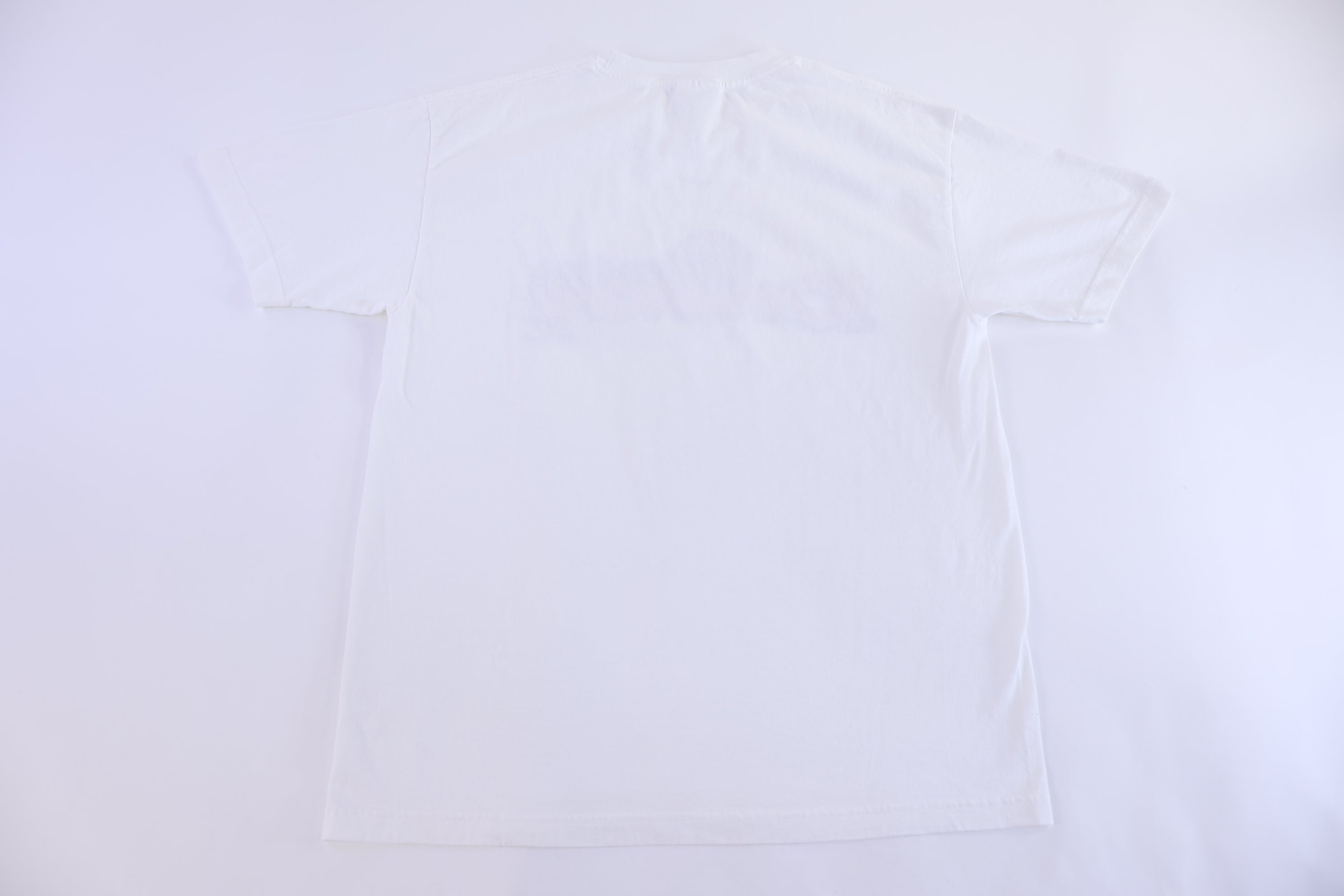 2004 Detroit Piston World Champions T-shirt