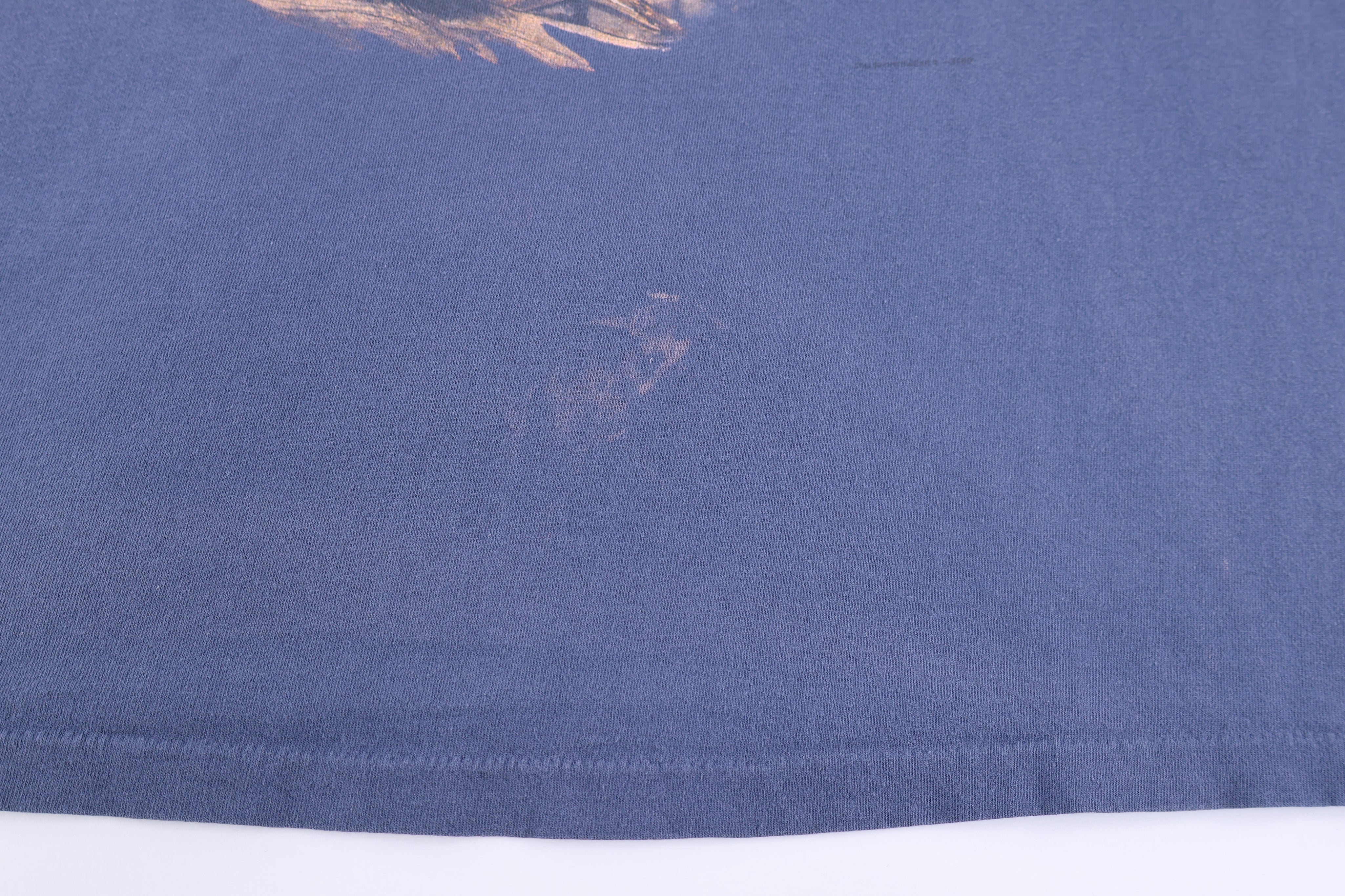 90's Eagle Nature Graphic T-shirt
