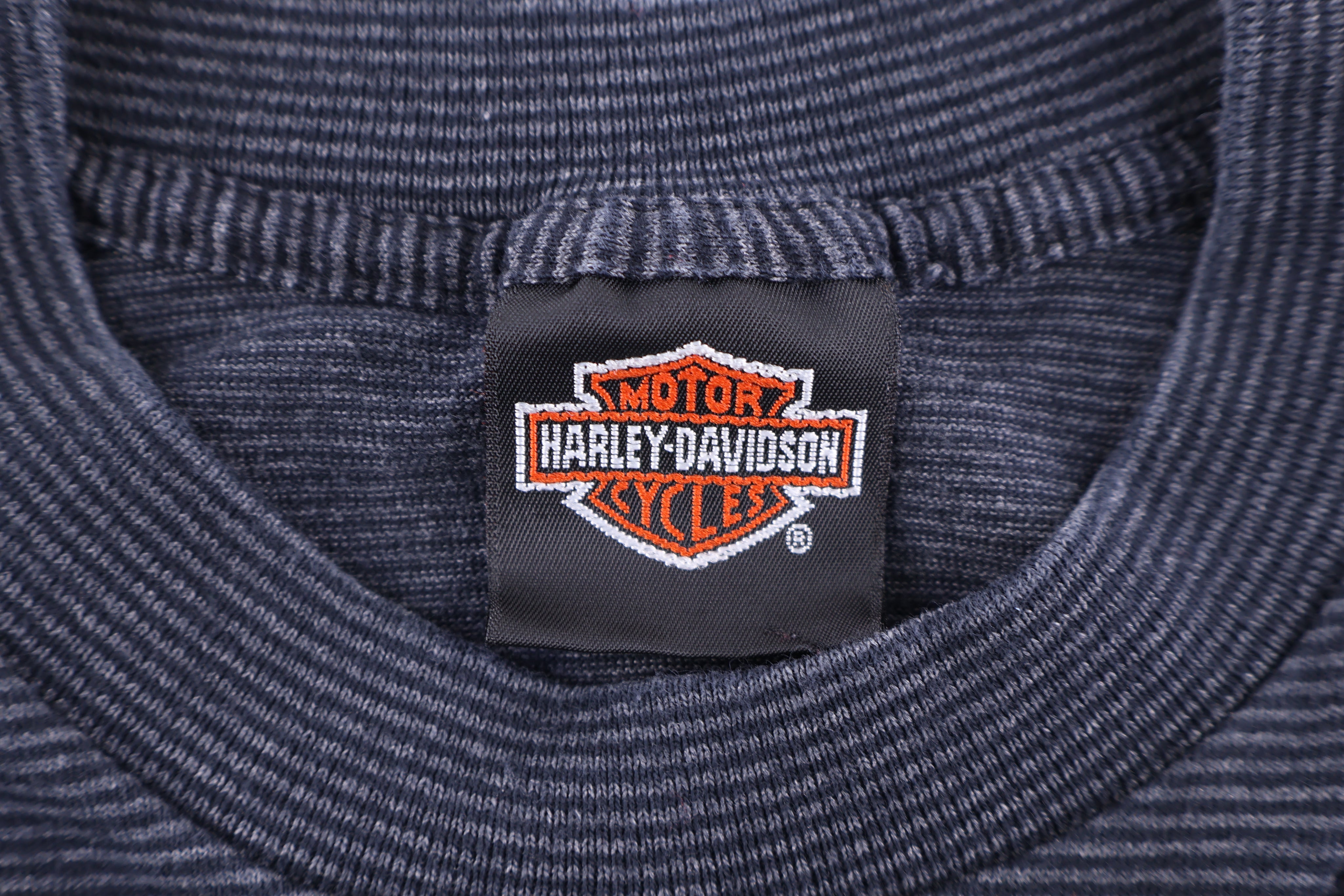 Harley Davidson Motorcycles Logo Graphic T-shirt