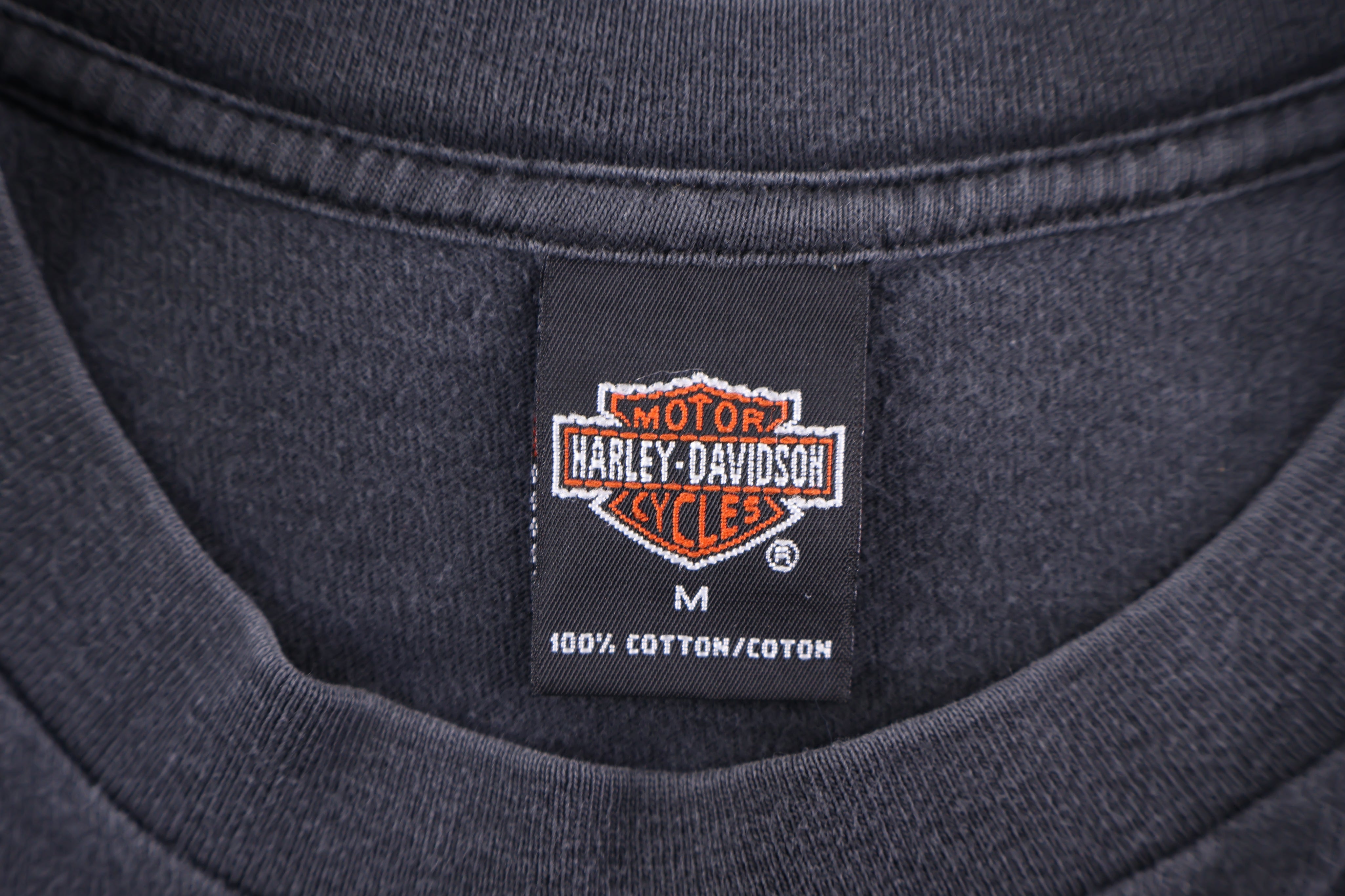 1995 Harley Davidson Motorcycles Eagle vs Dragon T-shirt