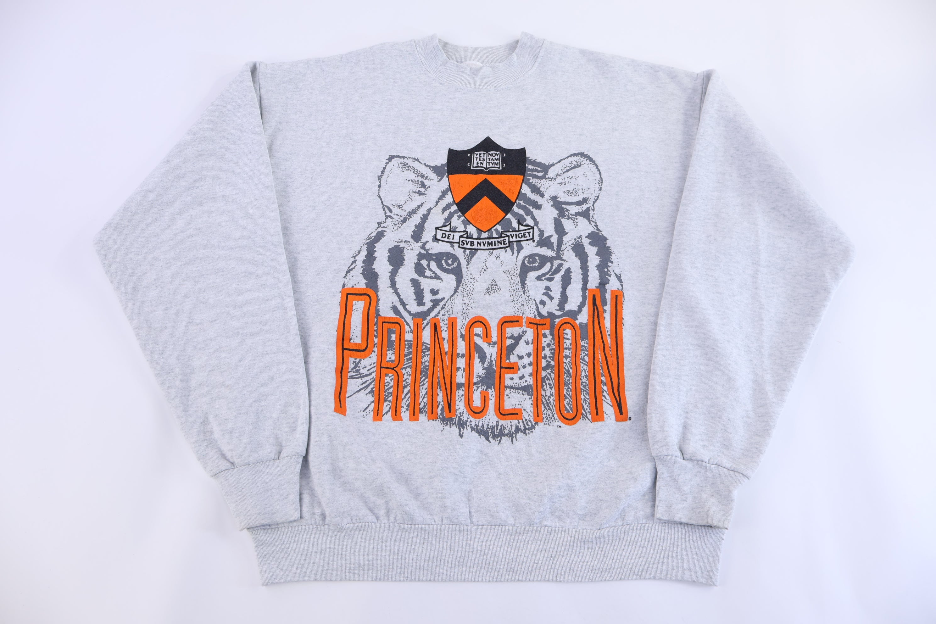 90's Princeton University Sweatshirt