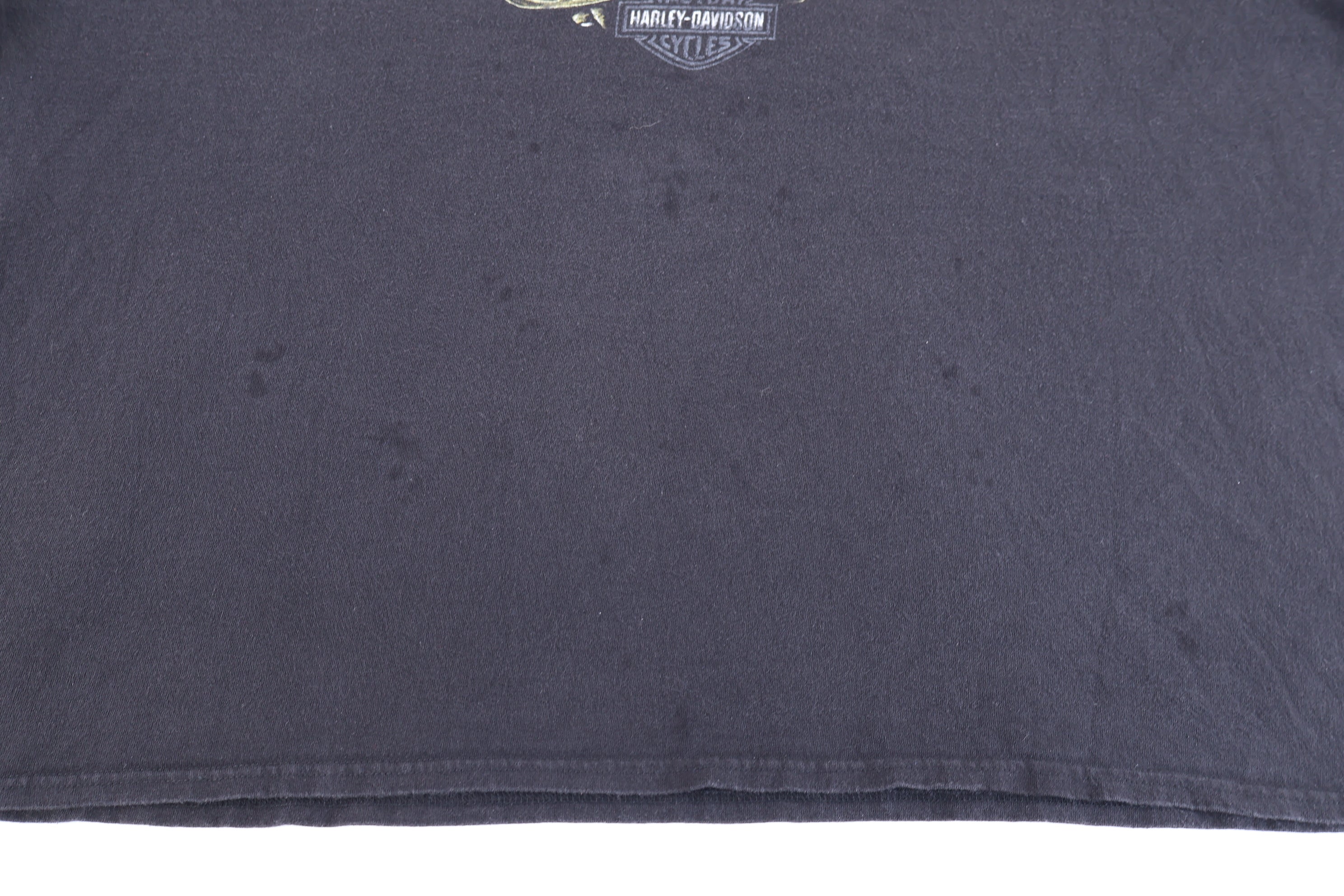 Harley Davidson Motorcycles Arizona T-shirt