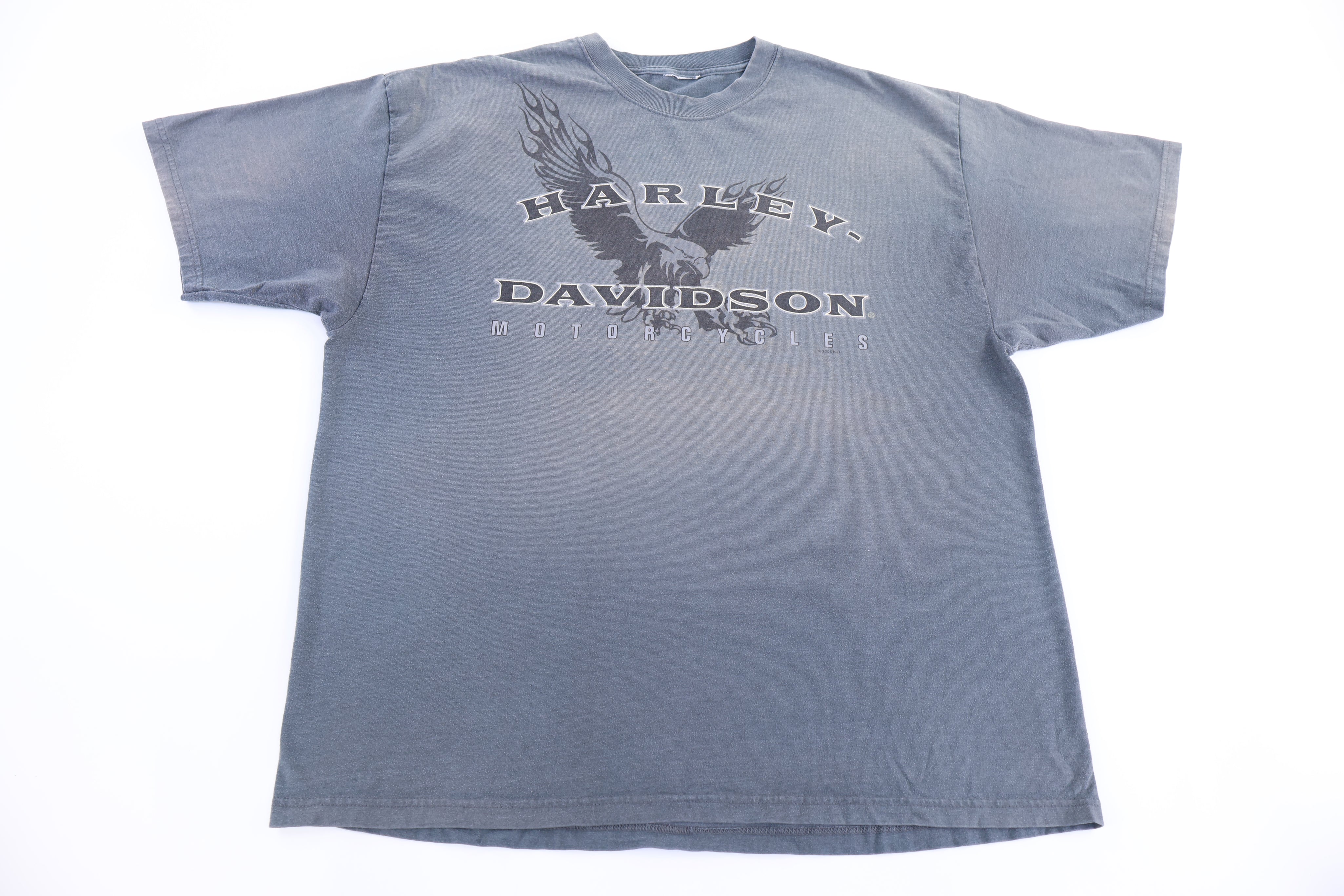 Harley Davidson Motorcycles Georgia T-shirt
