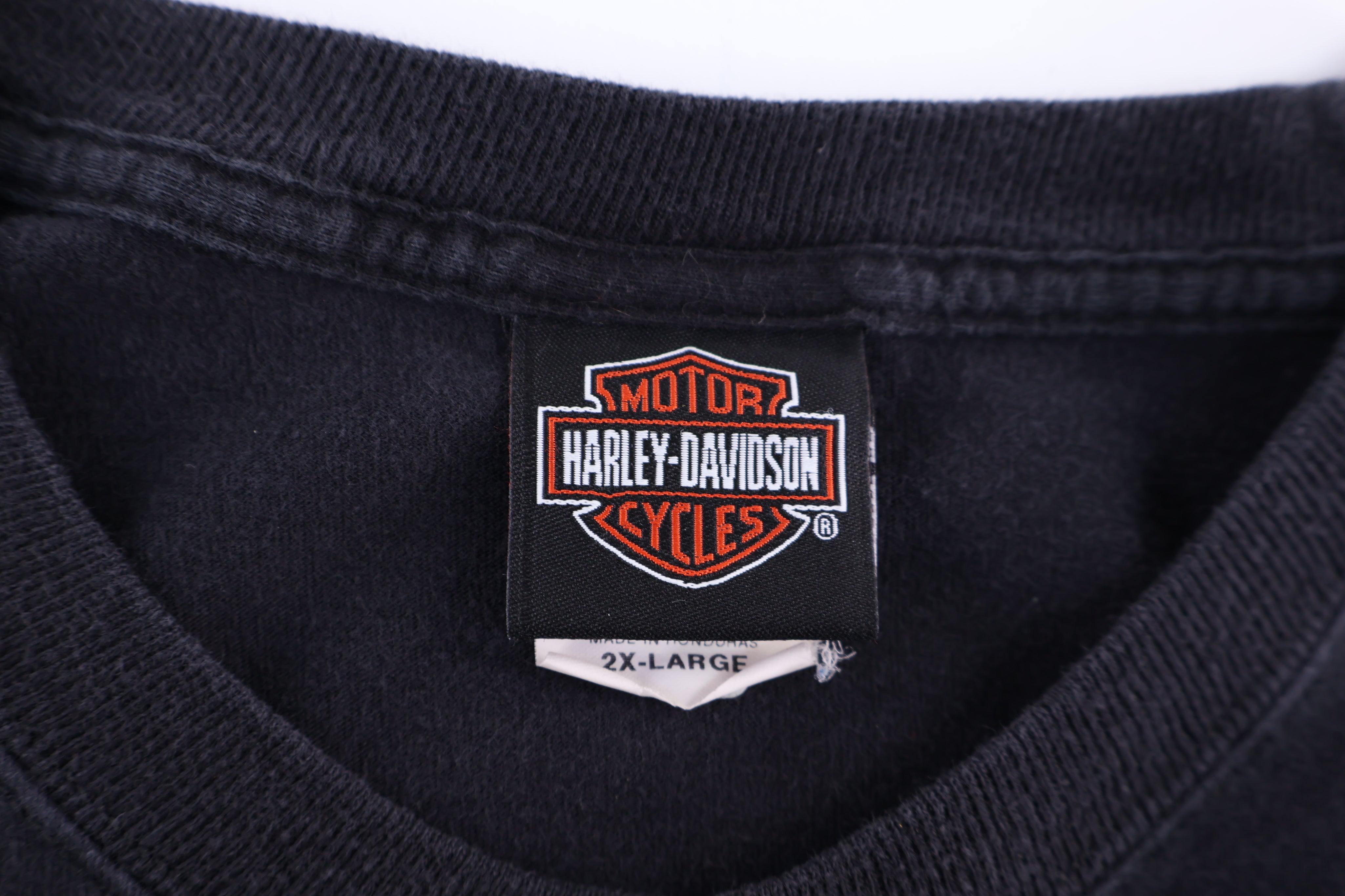 Harley Davidson Motorcycles Flames LS T-shirt