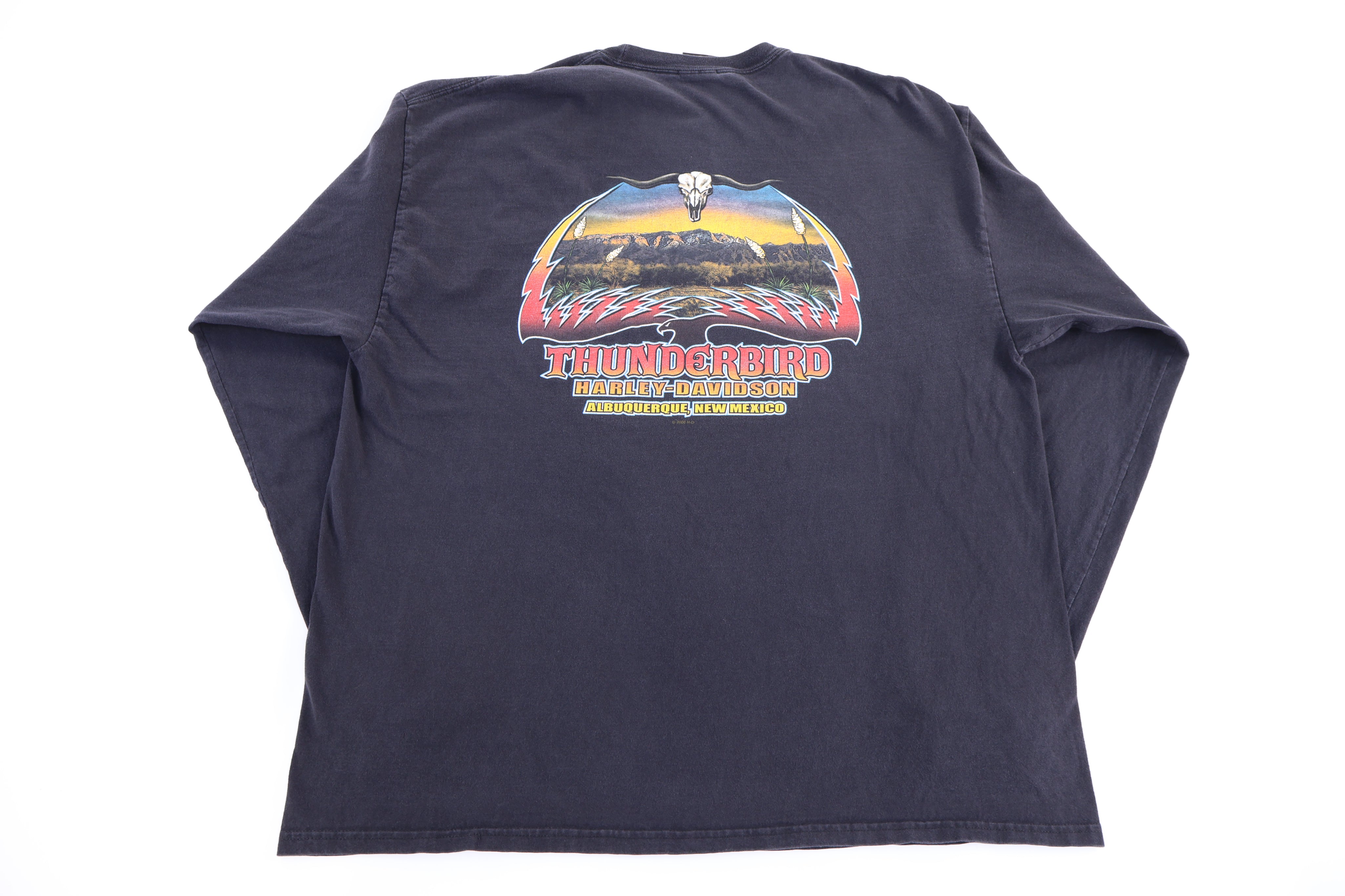 Harley Davidson Motorcycles Flames LS T-shirt
