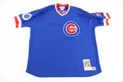 90's Chicago Cubs Ryne Sandberg Baseball Jersey