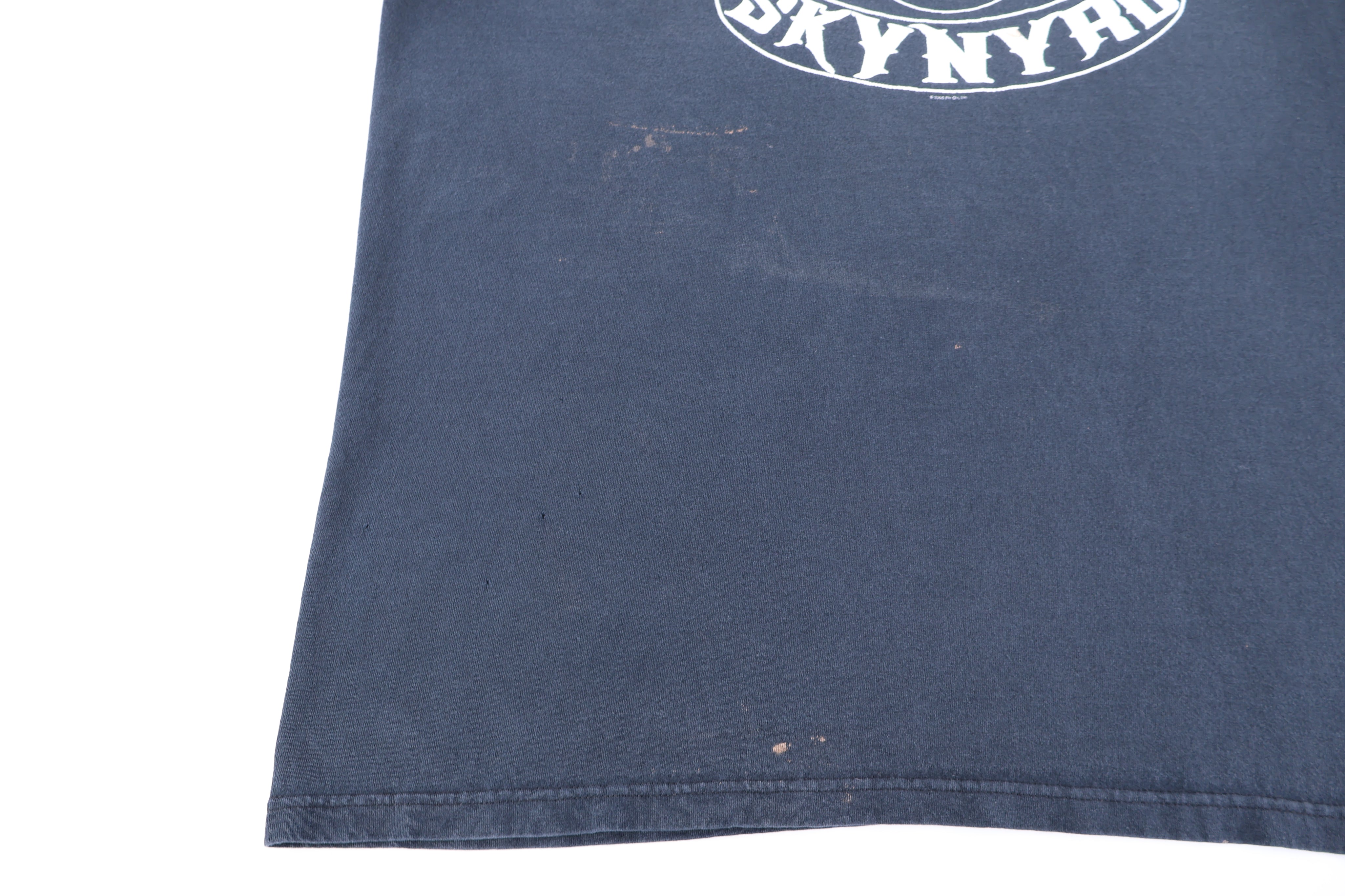 Vintage Lynyrd Skynyrd Support Southern Rock T-shirt