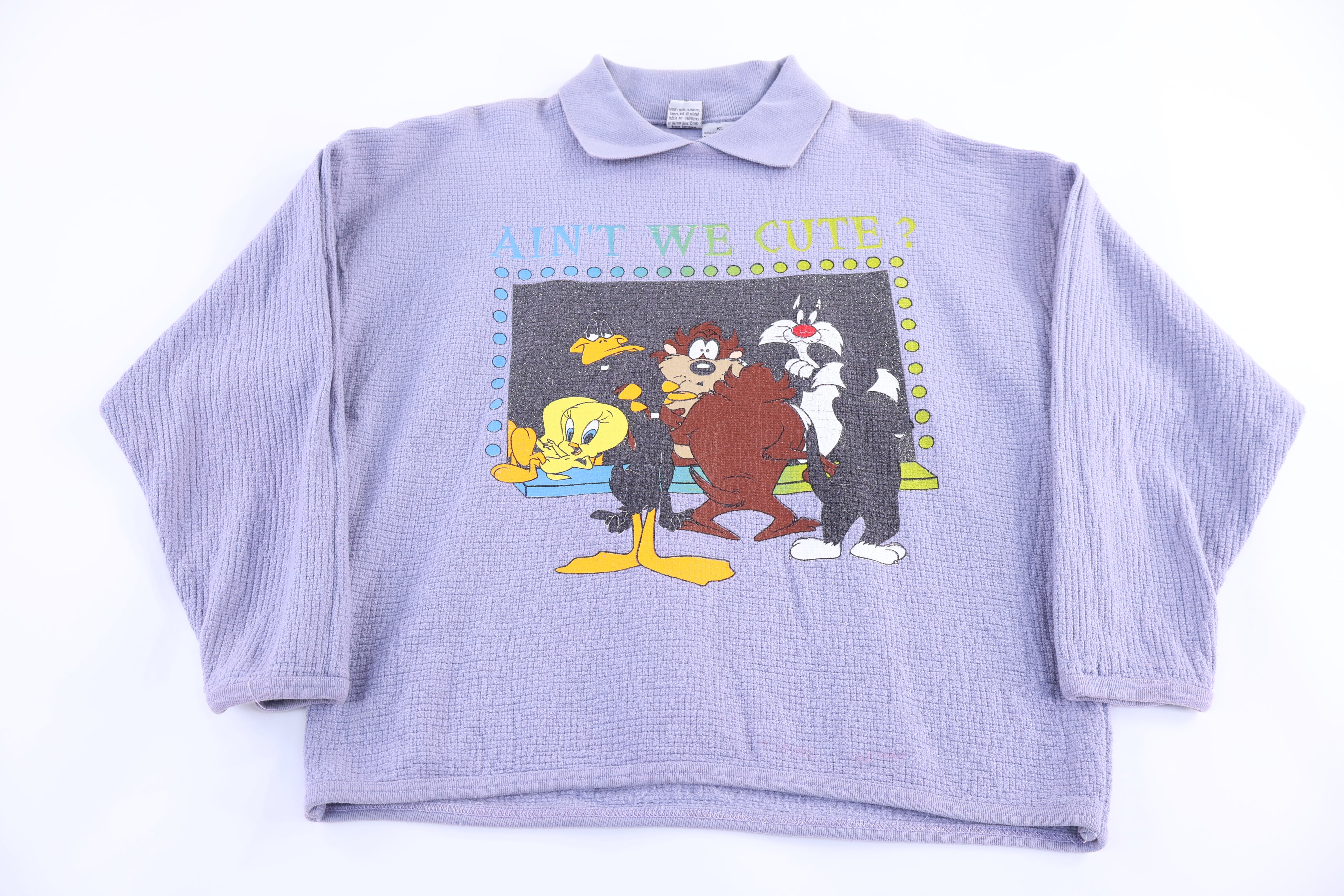 Women's Looney Tunes Pullover Sweater