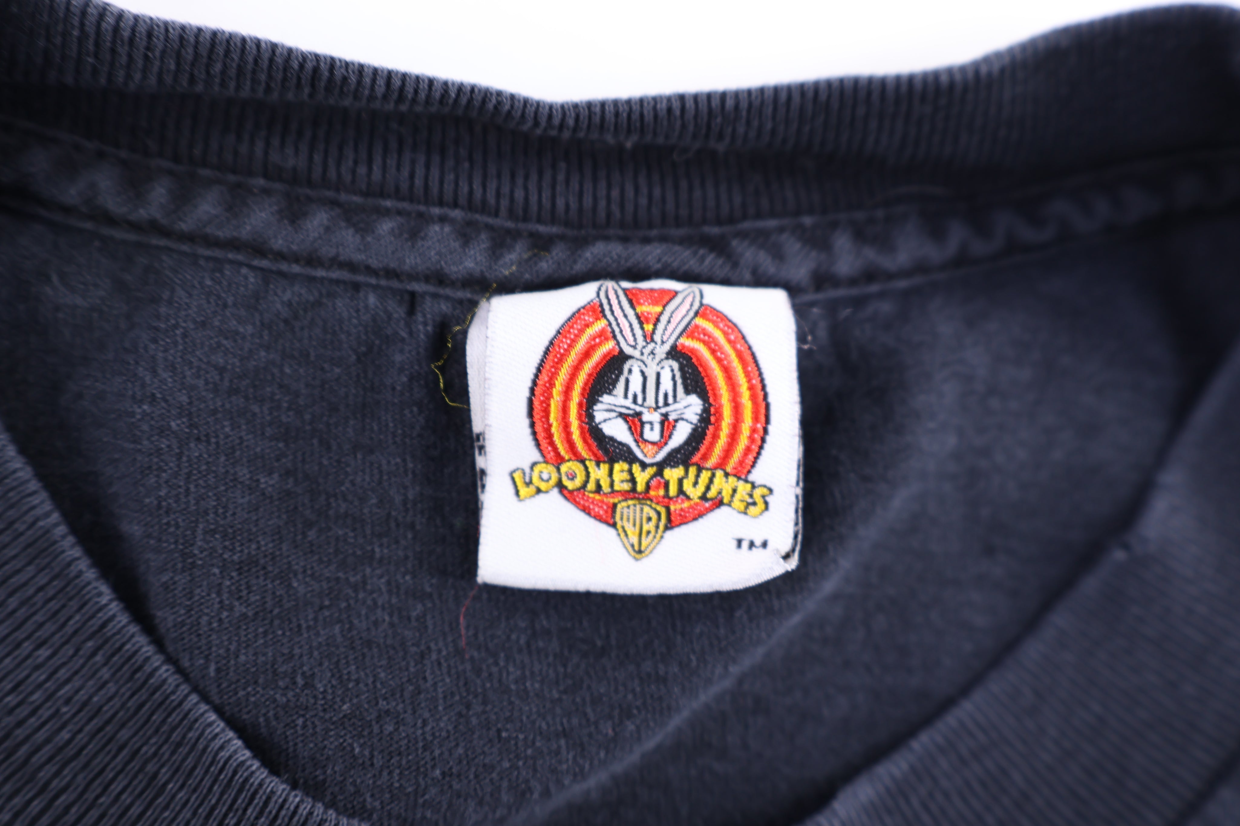 Vintage Looney Tunes Taz the Devil LS T-shirt