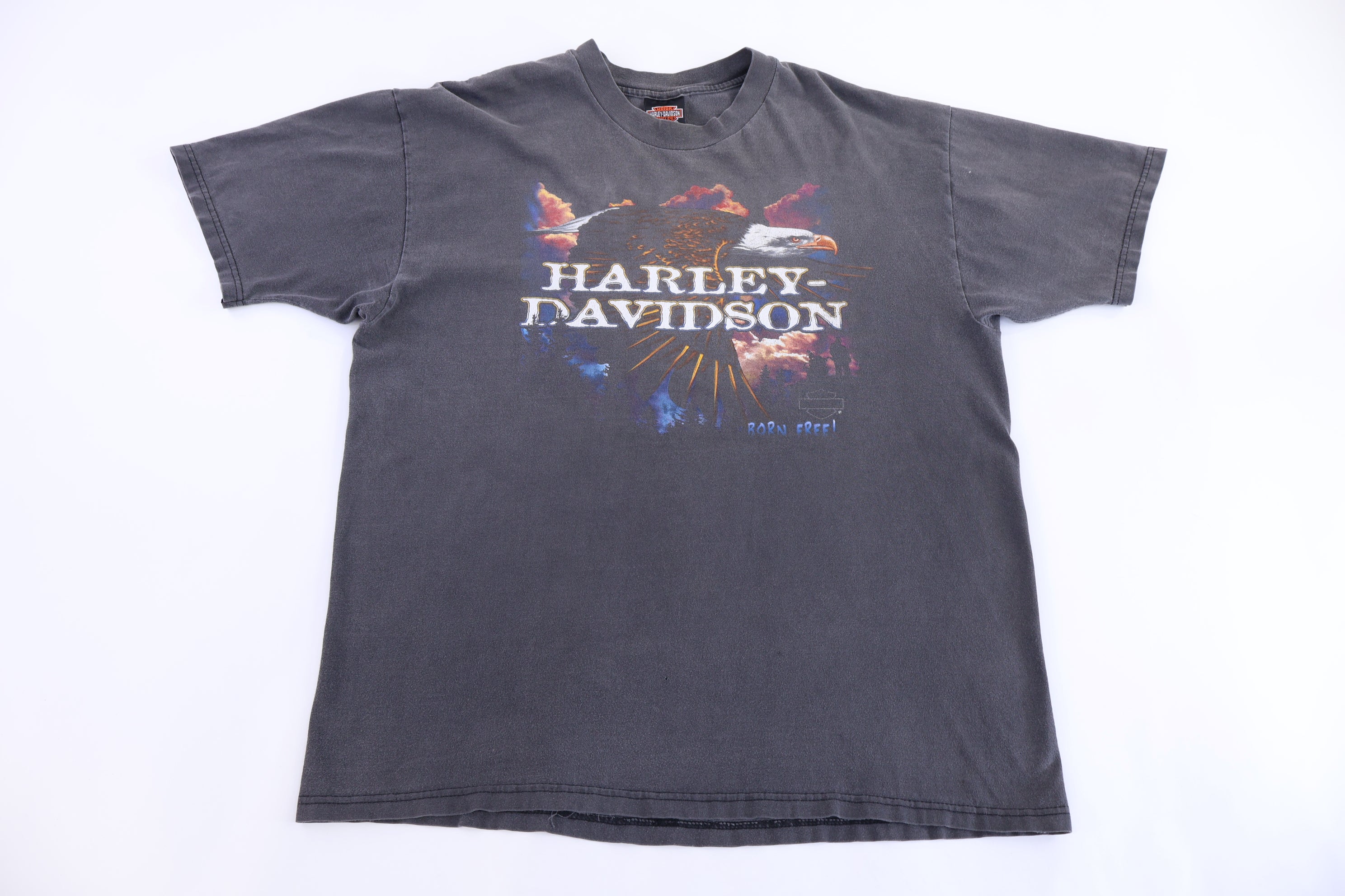 Harley Davidson Motorcycles Texas t-shirt
