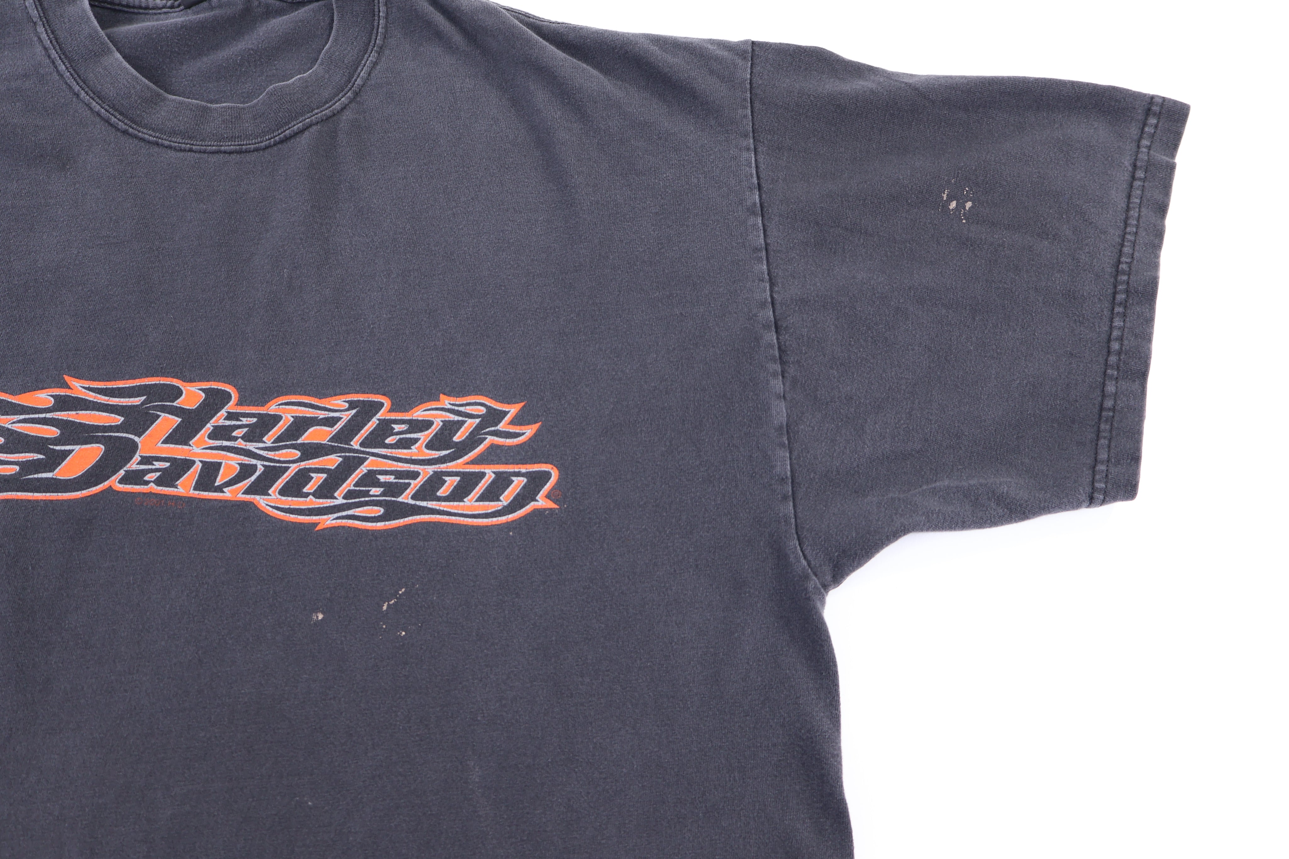 Harley Davidson Motorcycles Texas T-shirt