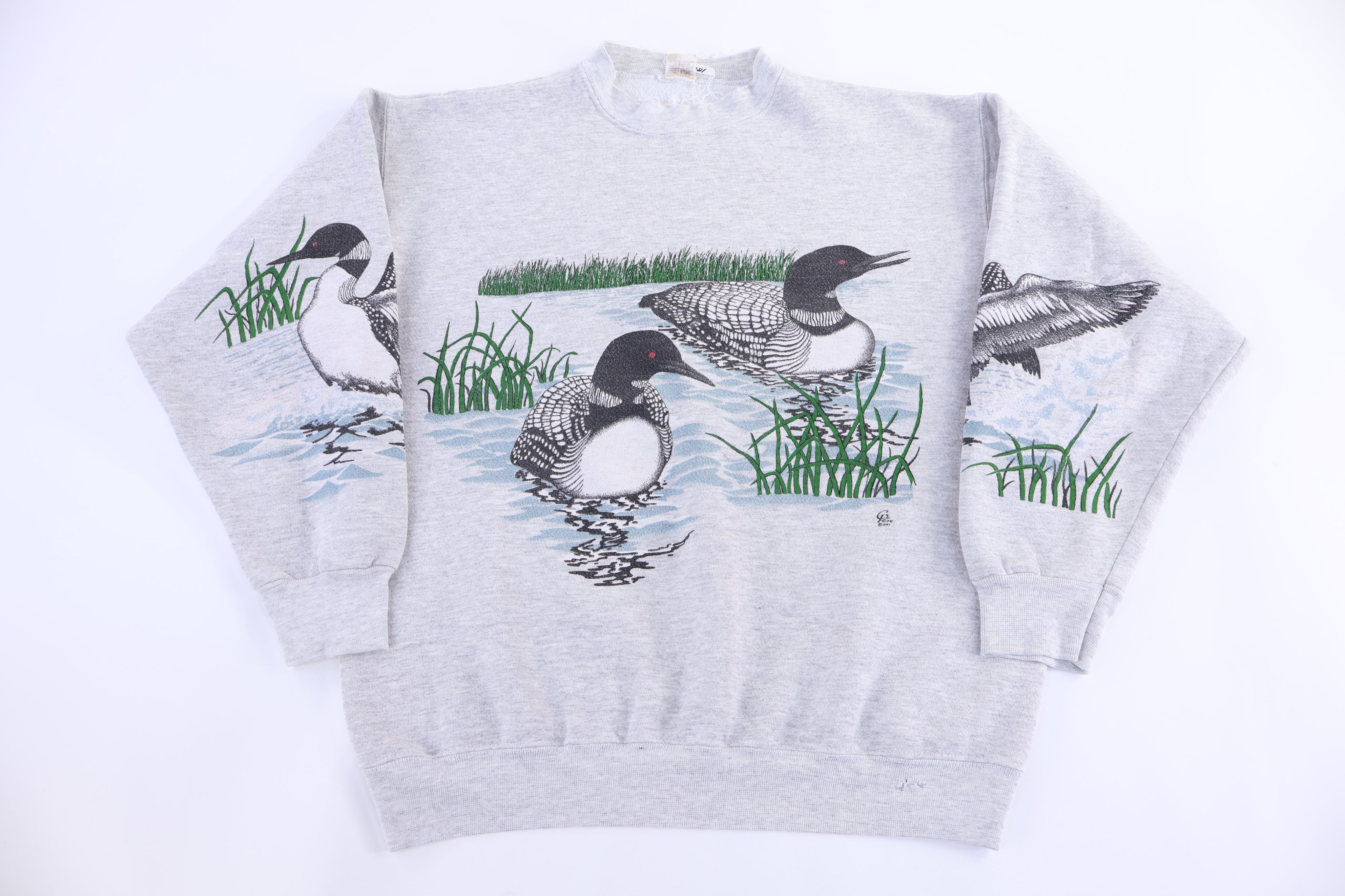 1993 Art Pacific Ducks Nature Graphic Sweatshirt