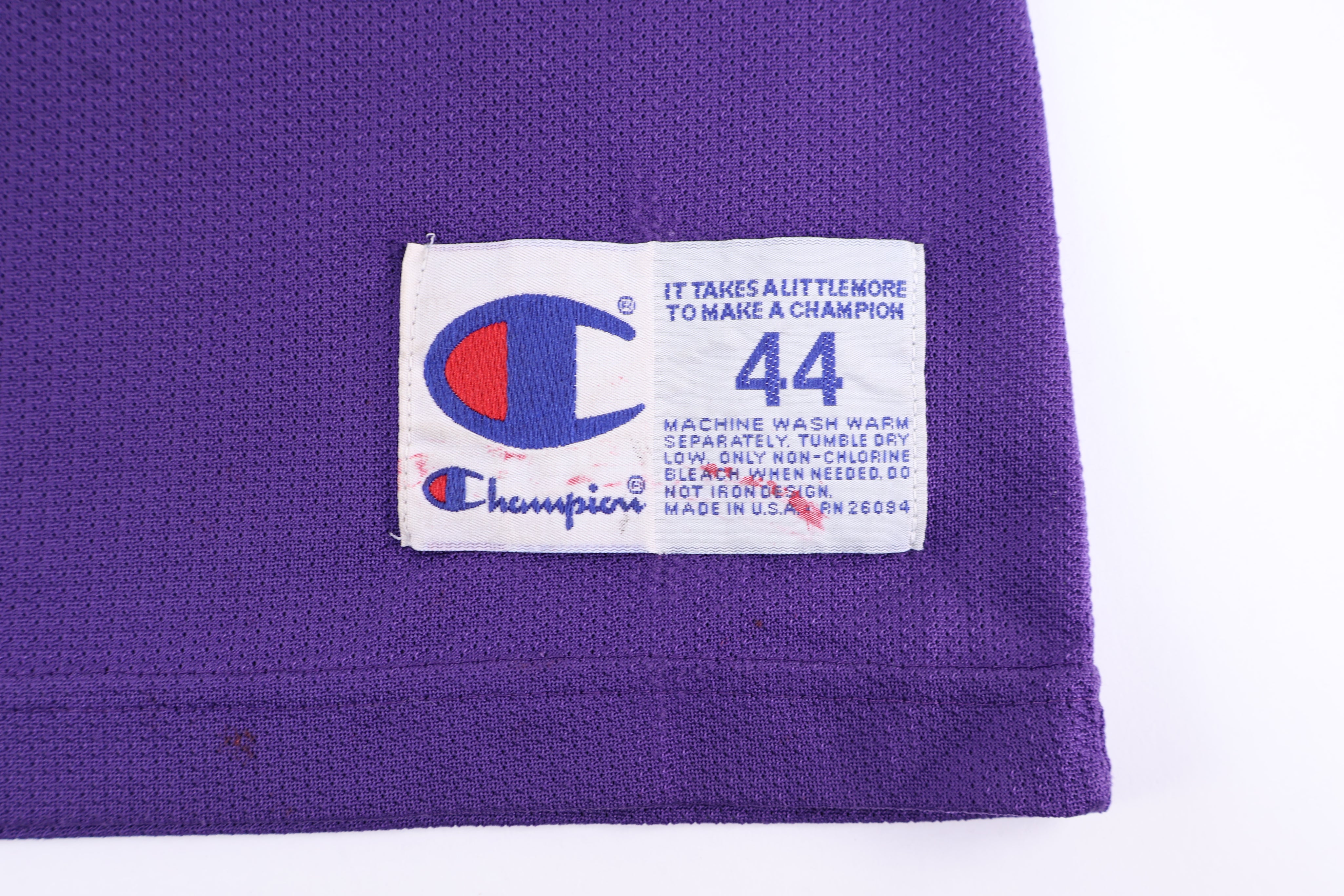 Champion Alonzo Mourning Charlotte Hornets Basketball Jersey - Jerseys/Tanks - Thrifted Threads
