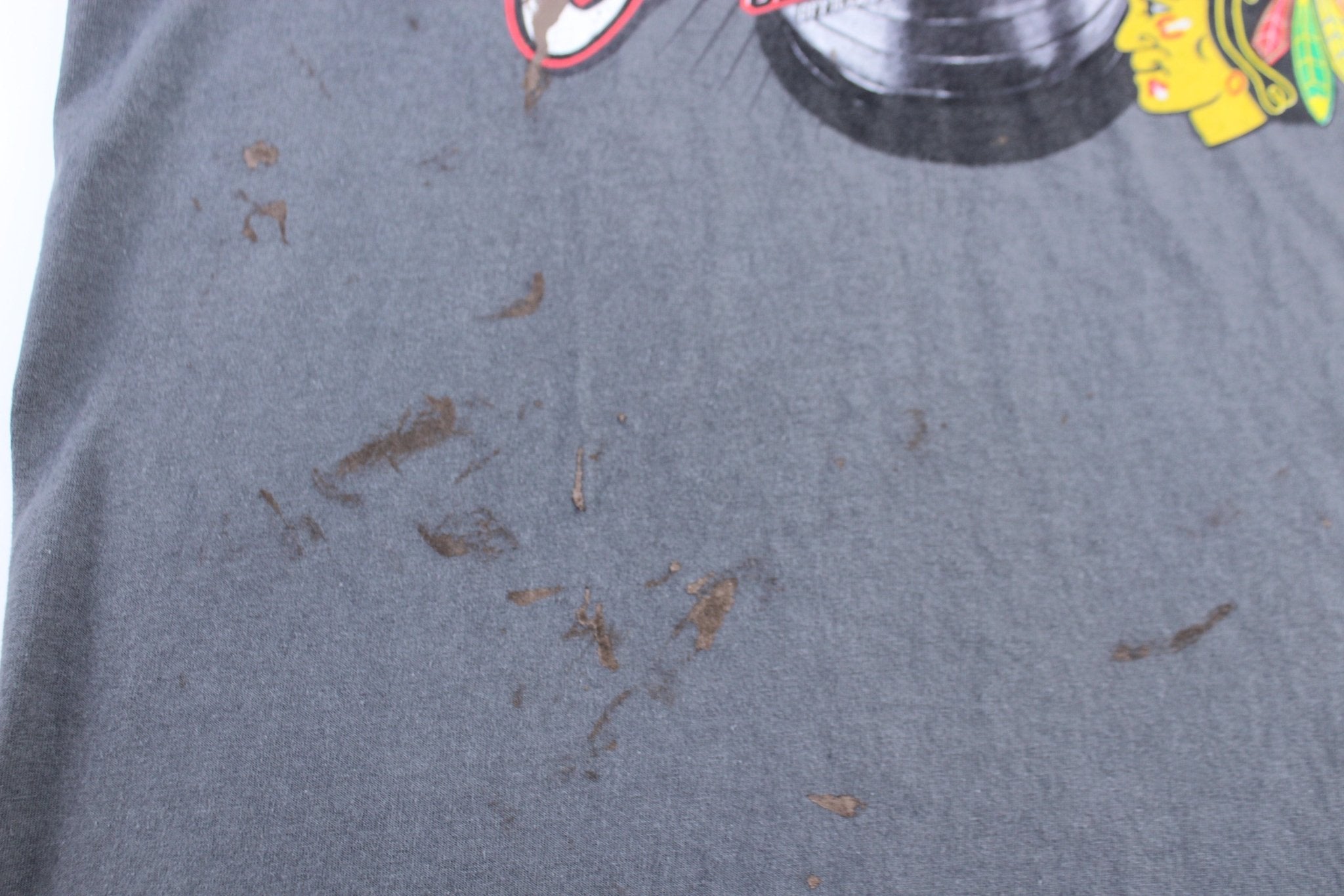 Chicago Blackhawks Stanley Cup Champions T-Shirt - ThriftedThreads.com