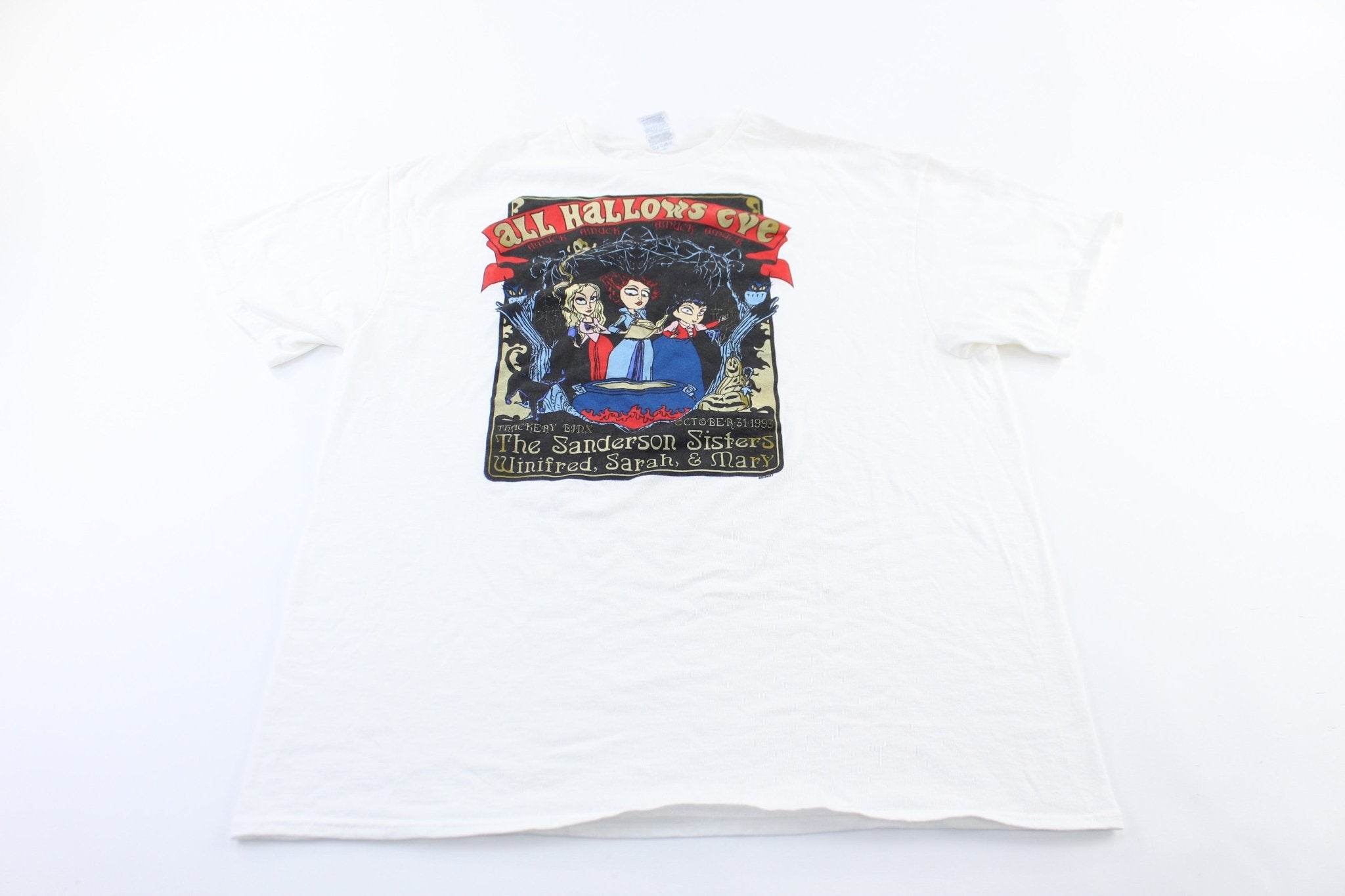 Disney Hocus Pocus The Sanderson Sisters Graphic T - Shirt - ThriftedThreads.com