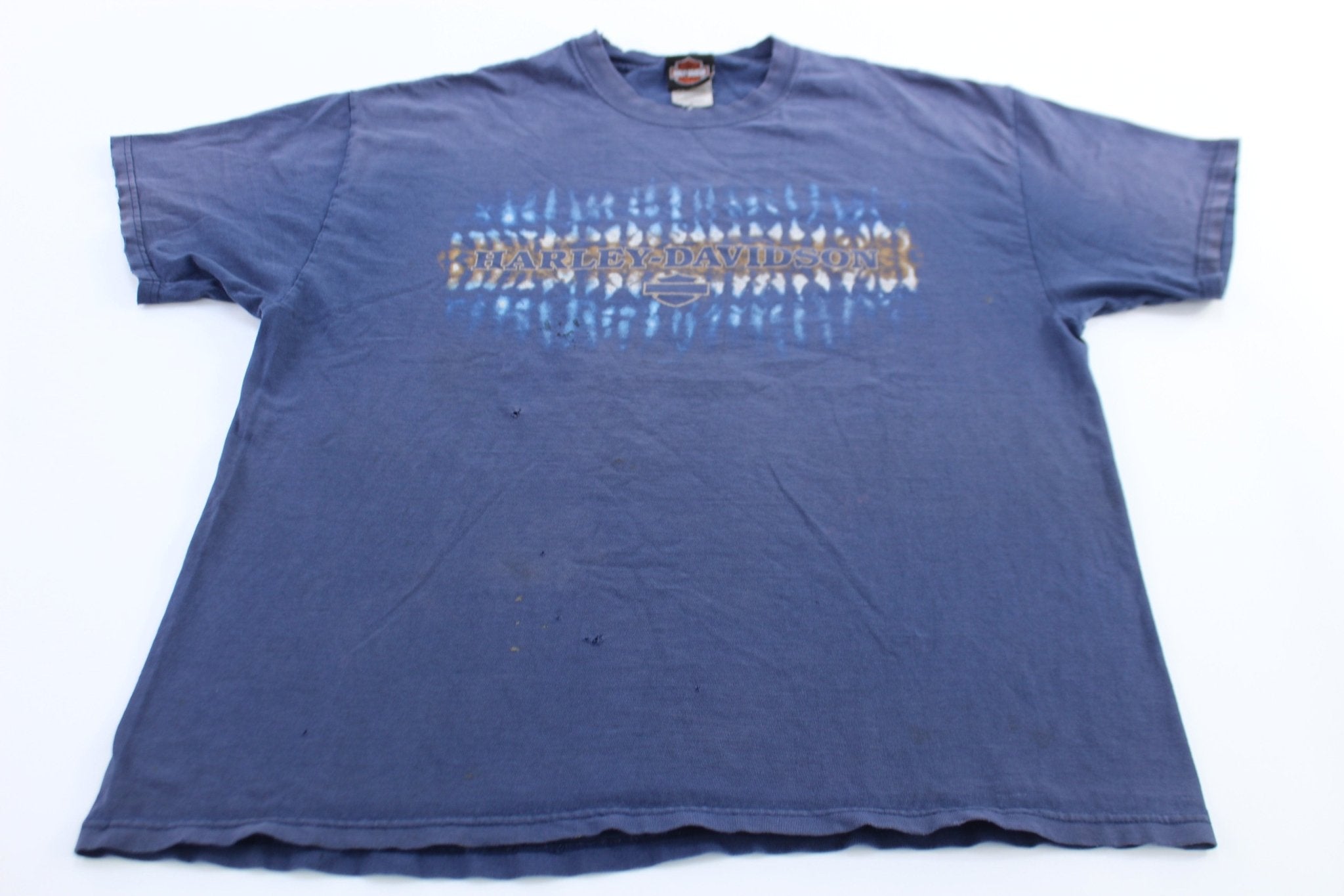 Harley Davidson Motorcycles Albany, New York T-Shirt - ThriftedThreads.com