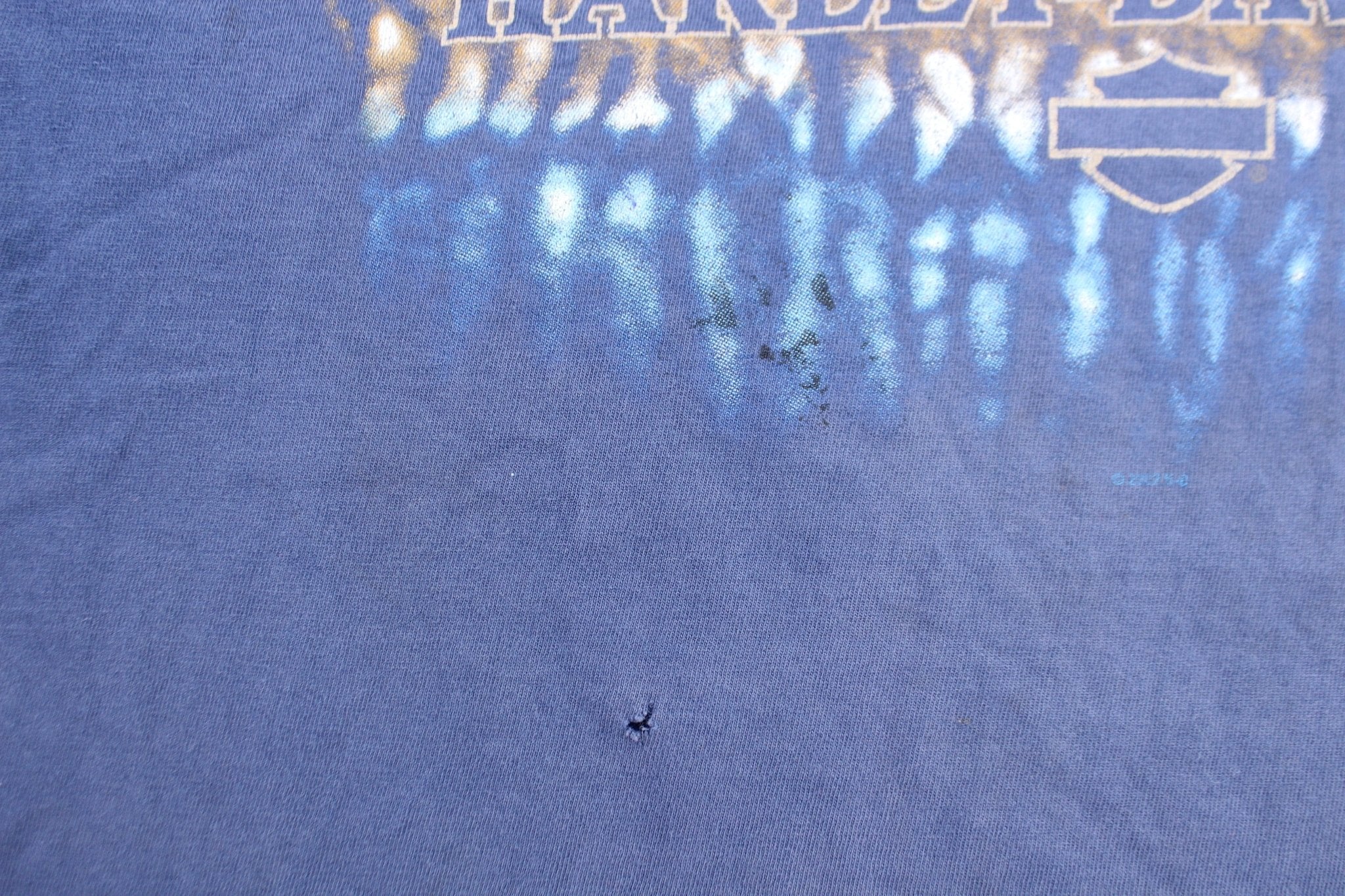 Harley Davidson Motorcycles Albany, New York T-Shirt - ThriftedThreads.com