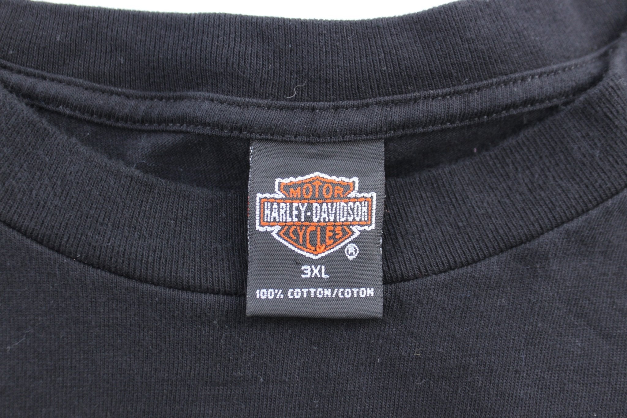 Harley Davidson Motorcycles Cartersville, Georgia Eagle & Lightning LS T-Shirt - ThriftedThreads.com