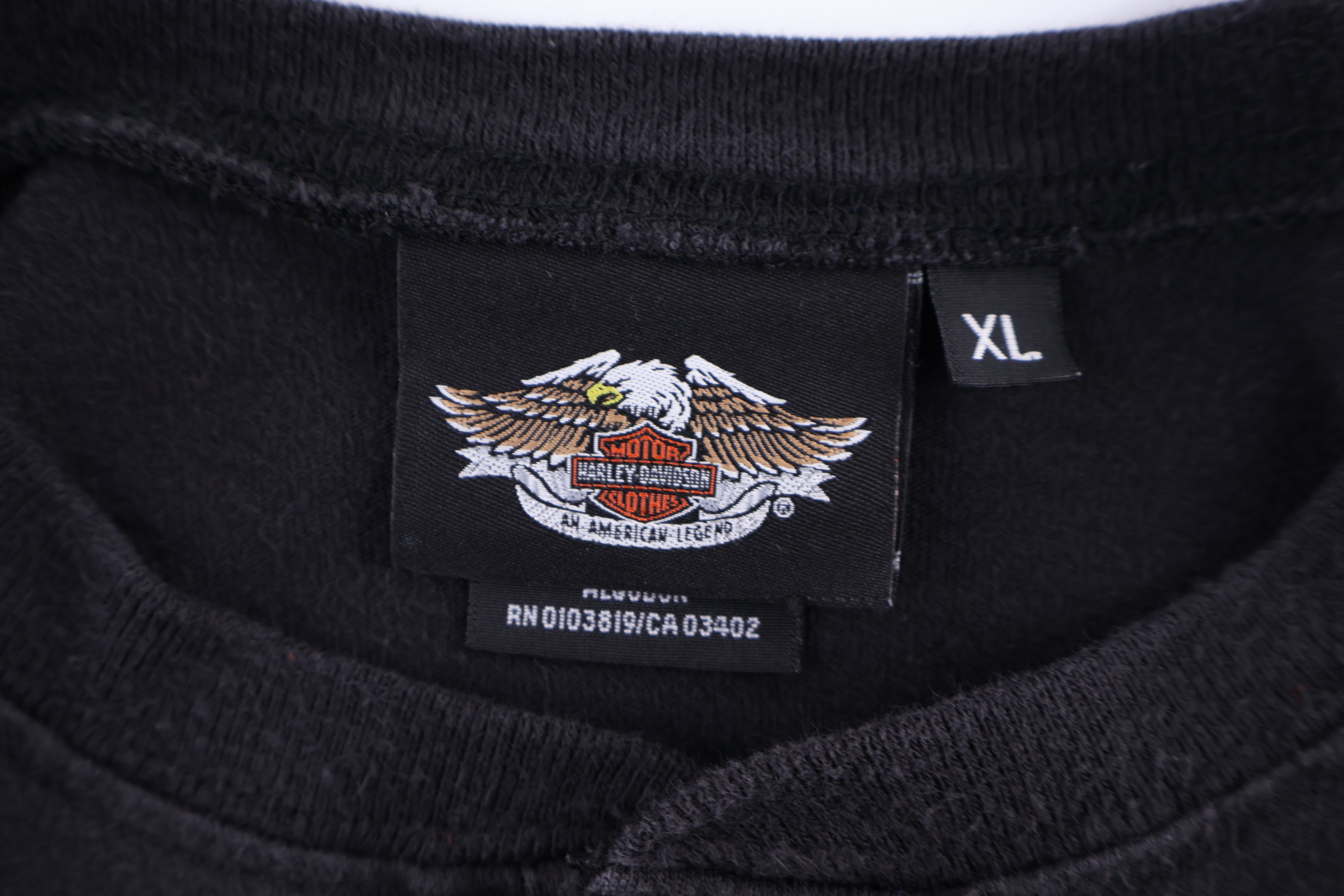 Harley Davidson Motorcycles Eagle Graphic LS T-shirt - Shirts & Tops - Thrifted Threads