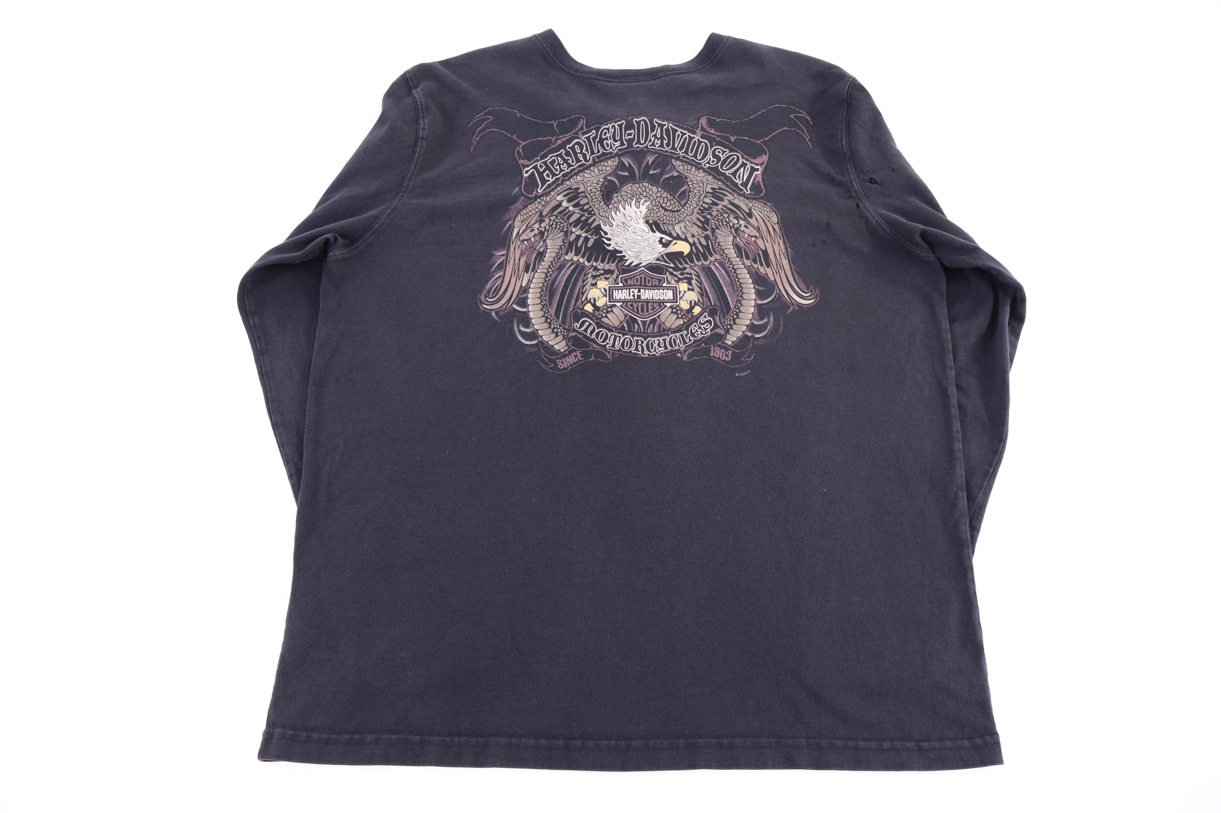 Harley Davidson Motorcycles Eagle Graphic LS T-shirt - Shirts & Tops - Thrifted Threads