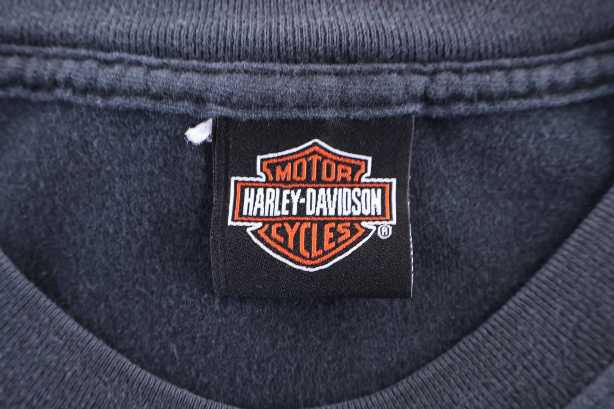 Harley Davidson Motorcycles Florida T-shirt - Shirts & Tops - Thrifted Threads