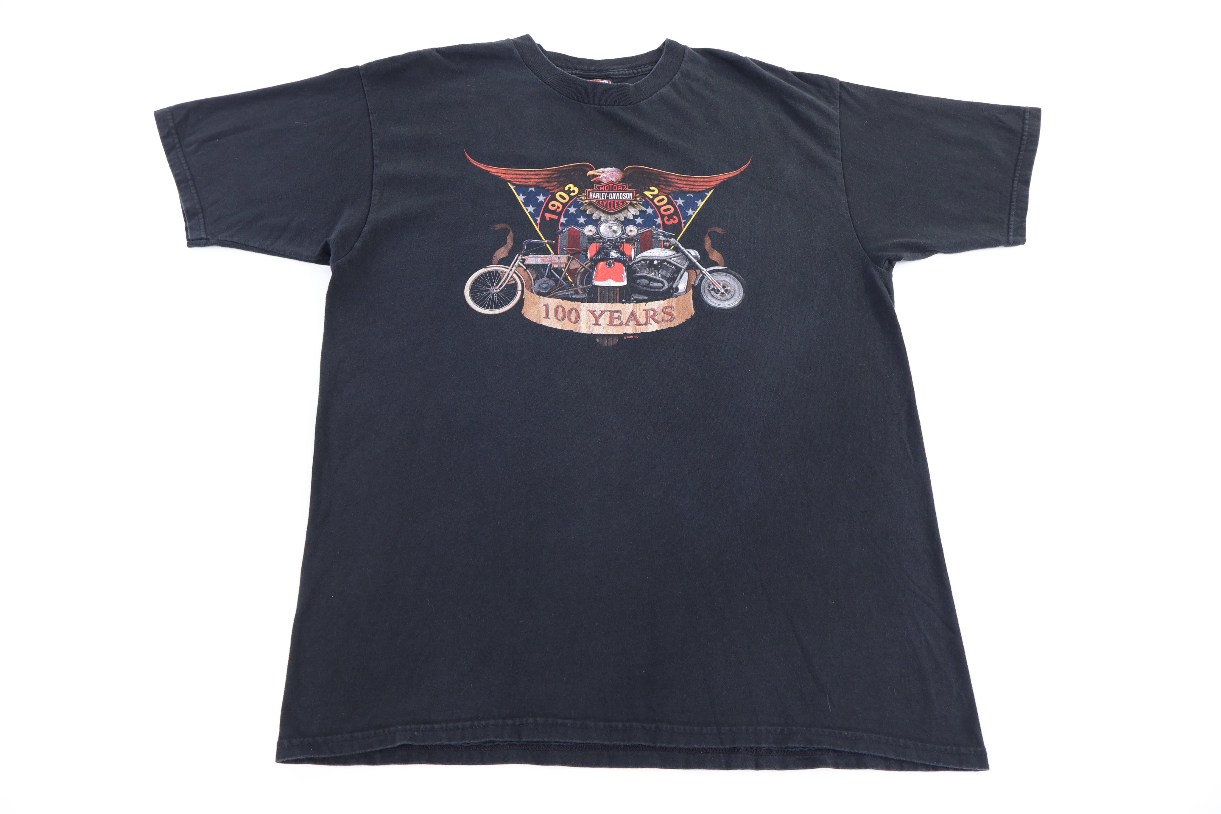 Harley Davidson Motorcycles Milwaukee T-shirt - Shirts & Tops - Thrifted Threads