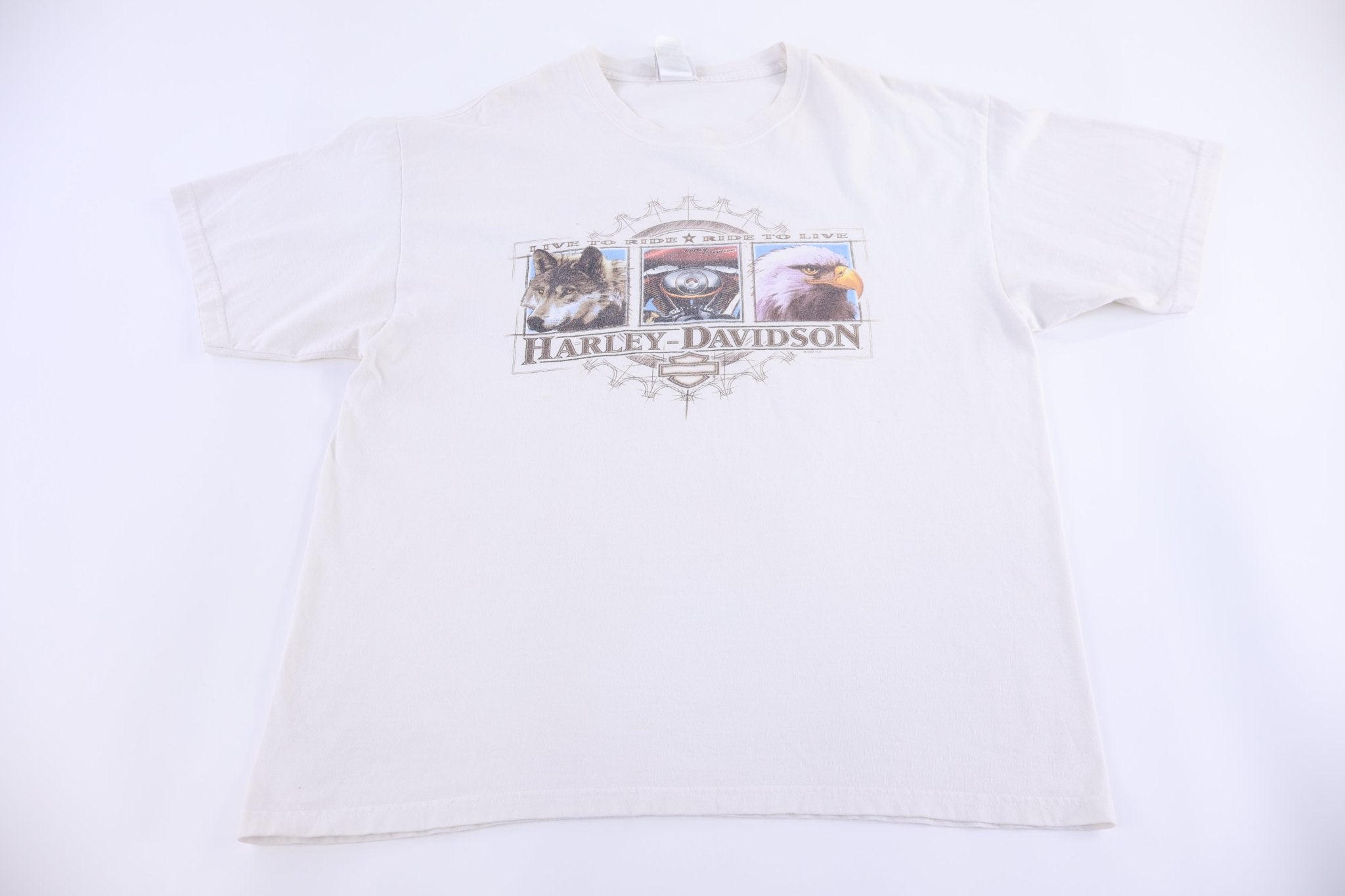 Harley Davidson Motorcycles Minnesota T-shirt - Shirts & Tops - Thrifted Threads