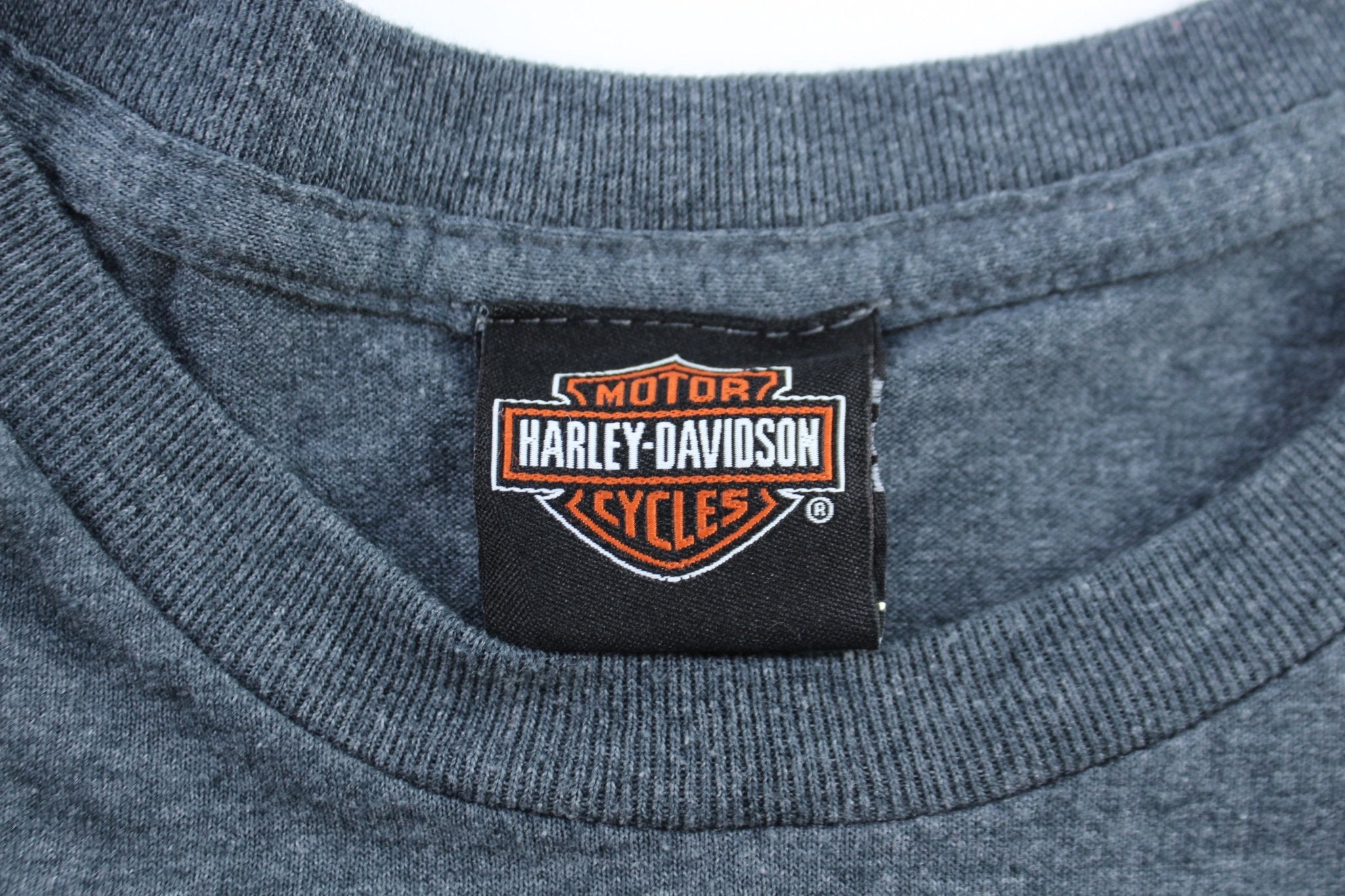 Harley Davidson Motorcycles Orlando, Florida T-Shirt - ThriftedThreads.com