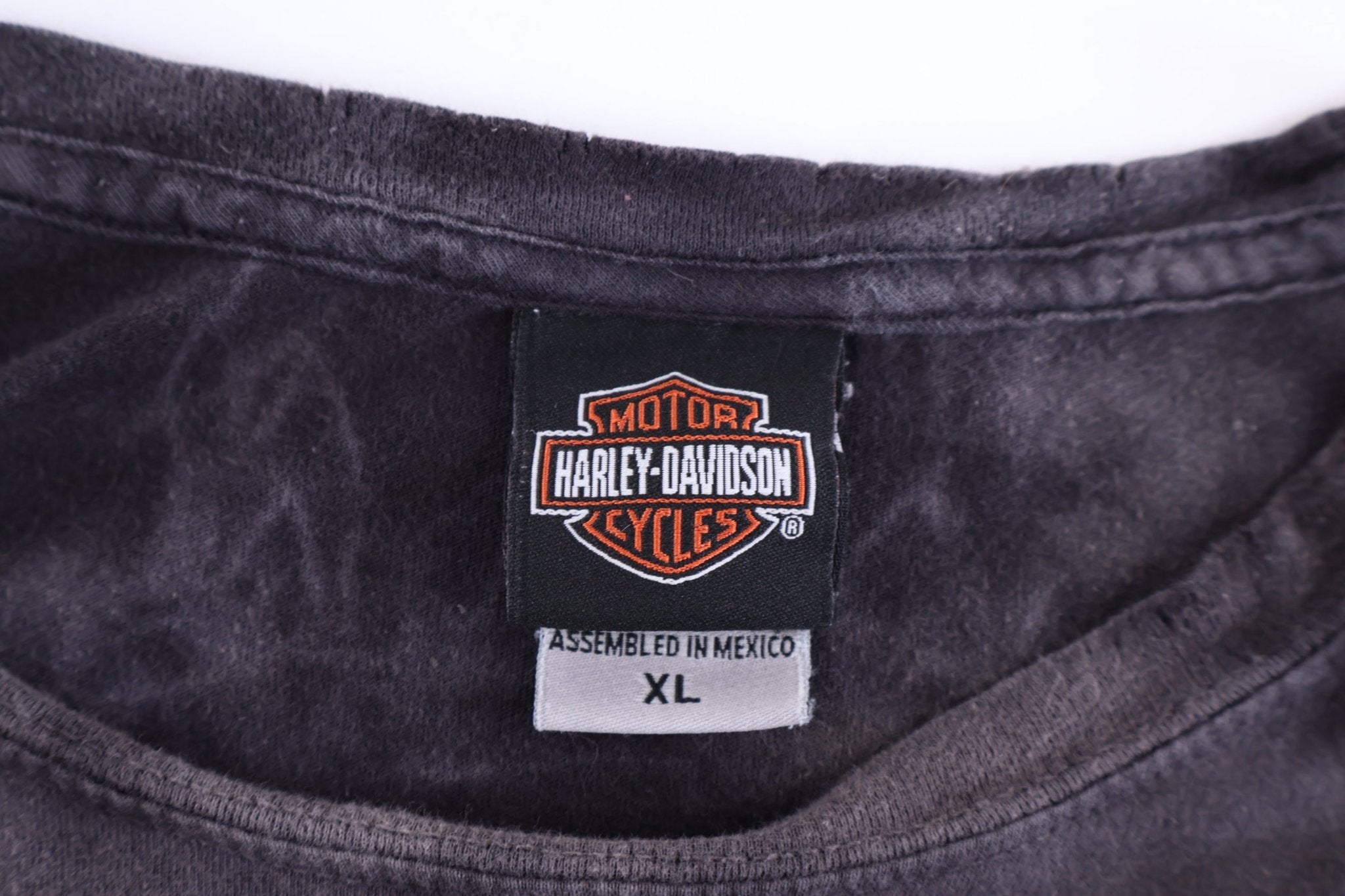 Harley Davidson Motorcycles Skull Graphic T-shirt - Shirts & Tops - Thrifted Threads