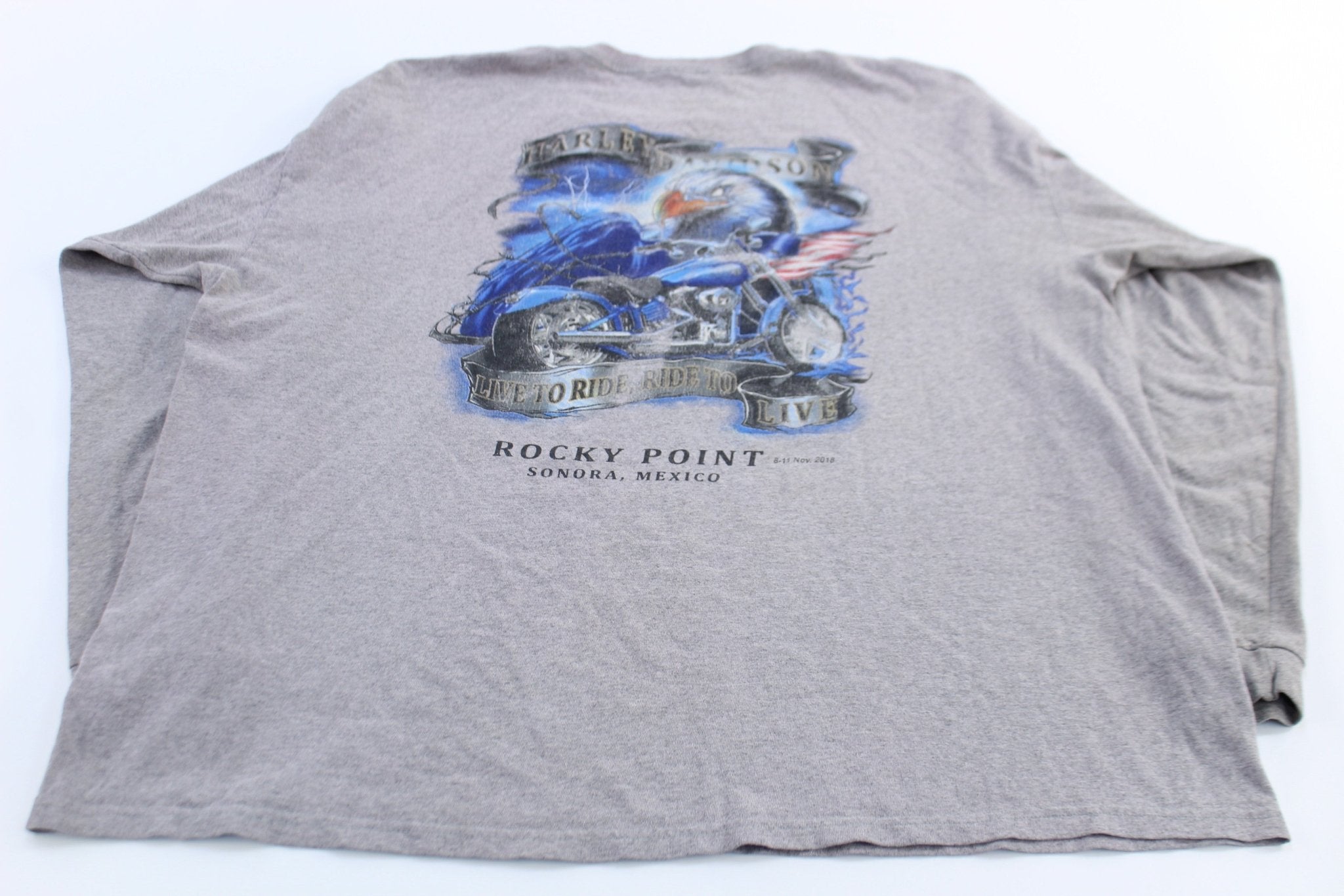 Harley Davidson Motorcycles Sonora, Mexico Grey LS T-Shirt - ThriftedThreads.com