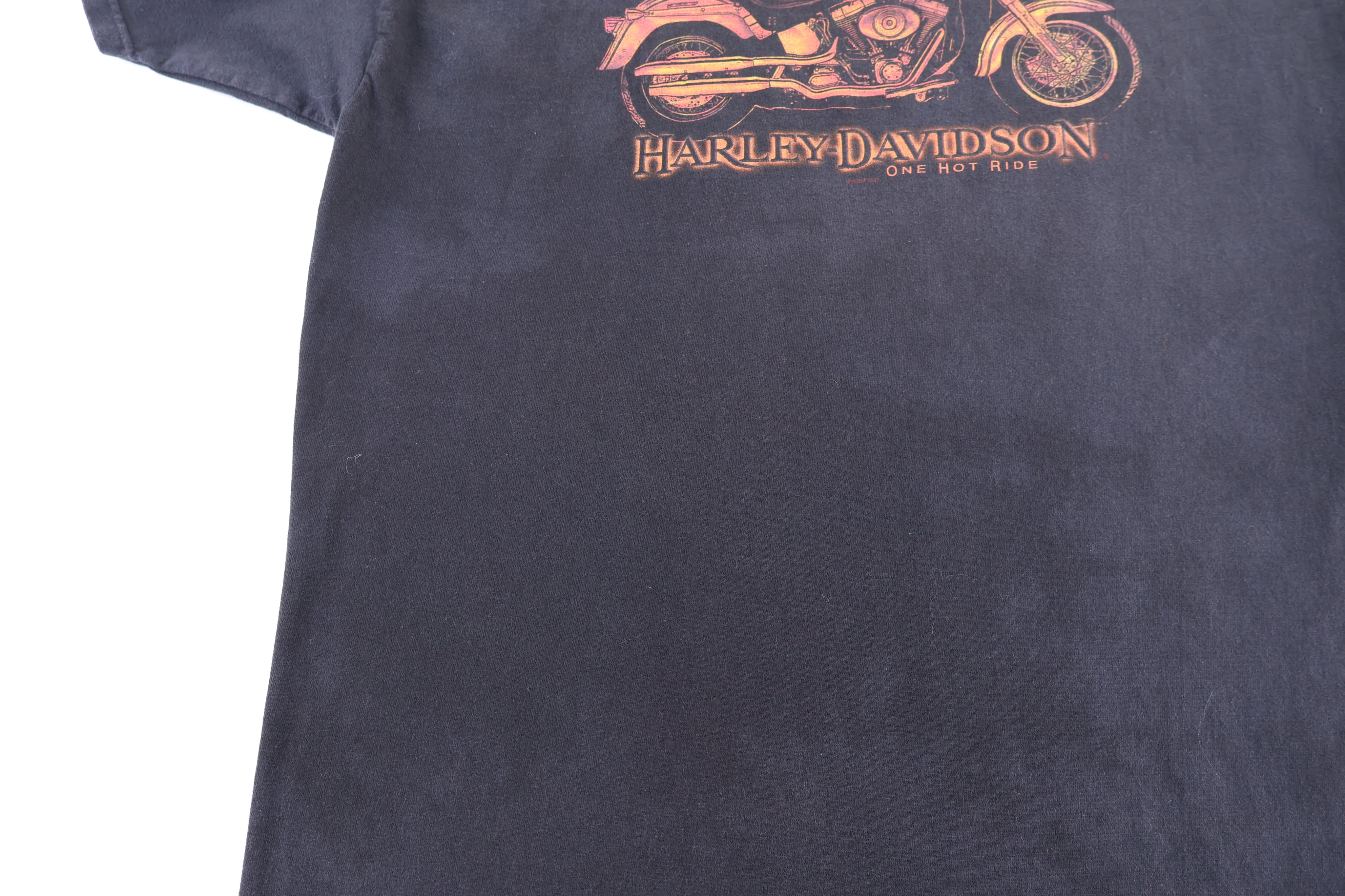 Harley Davidson Motorcycles Texas T-shirt - Shirts & Tops - Thrifted Threads