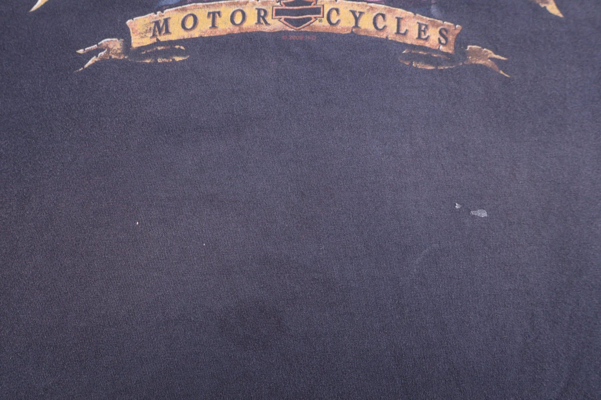 Harley Davidson Motorcycles Texas T-shirt - Shirts & Tops - Thrifted Threads