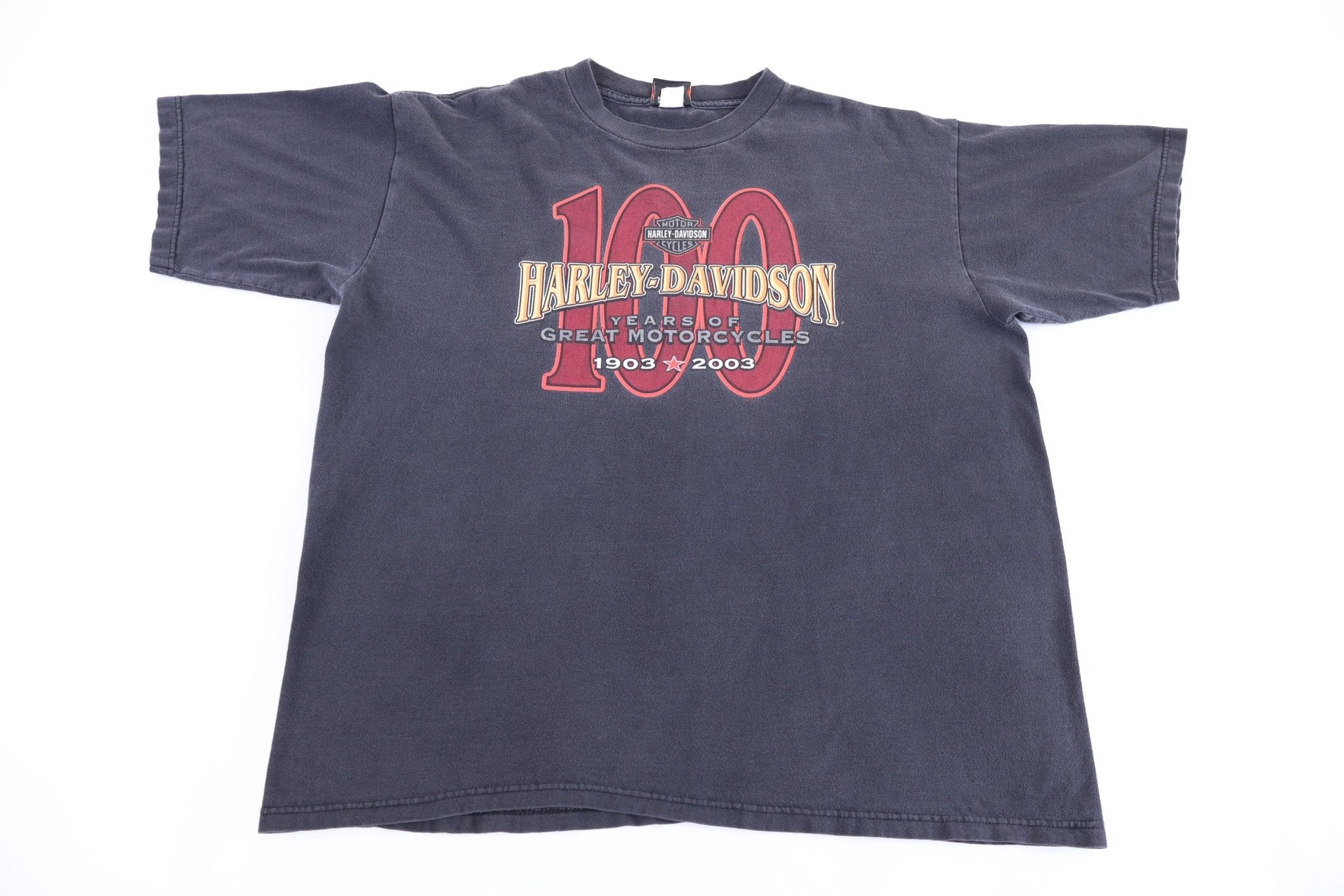 Harley Davidson Motorcycles Wisconsin T-shirt - Shirts & Tops - Thrifted Threads