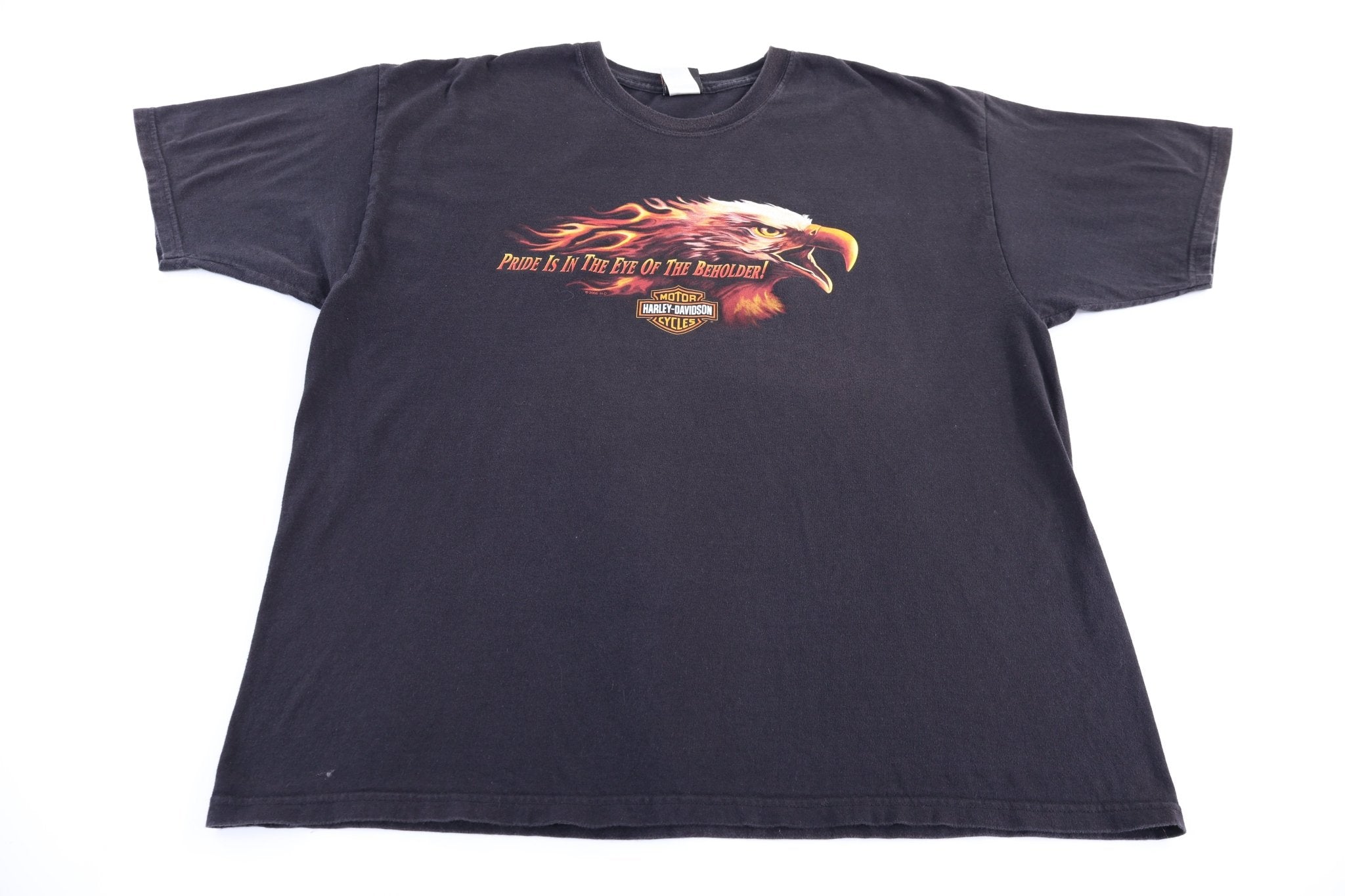 Harley Davidson Motorcycles Wisconsin T-shirt - Shirts & Tops - Thrifted Threads