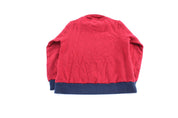 Patagonia Logo Patch Woolyester Fleece Red & Blue Pullover - ThriftedThreads.com