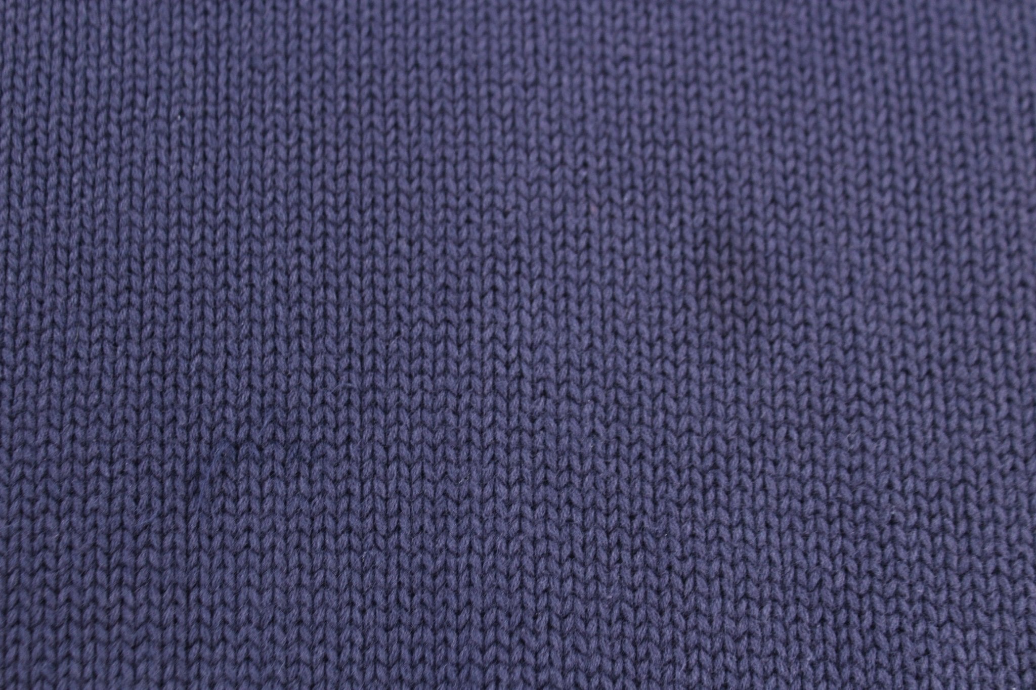 Polo by Ralph Lauren Embroidered Logo Blue Sweater Vest - Vest - Thrifted Threads