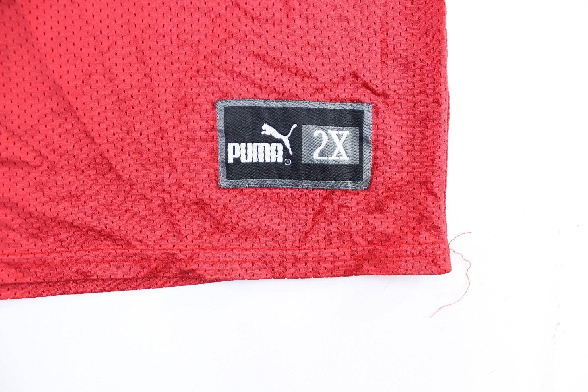 Puma Logo Tampa Bay Buccaneers Warrick Dunn Football Jersey - ThriftedThreads.com