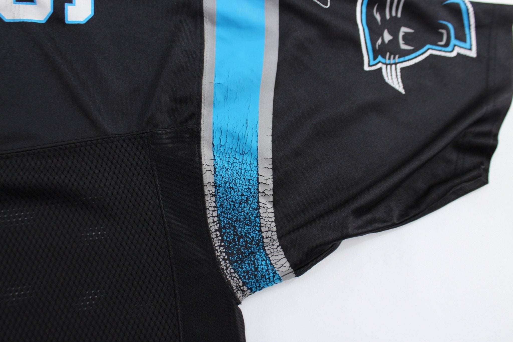 Reebok Logo North Carolina Panthers Julius Peppers Football Jersey - ThriftedThreads.com