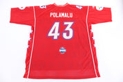 Reebok Pro Bowl Troy Polamalu Football Jersey - Jerseys/Tanks - Thrifted Threads
