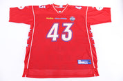 Reebok Pro Bowl Troy Polamalu Football Jersey - Jerseys/Tanks - Thrifted Threads