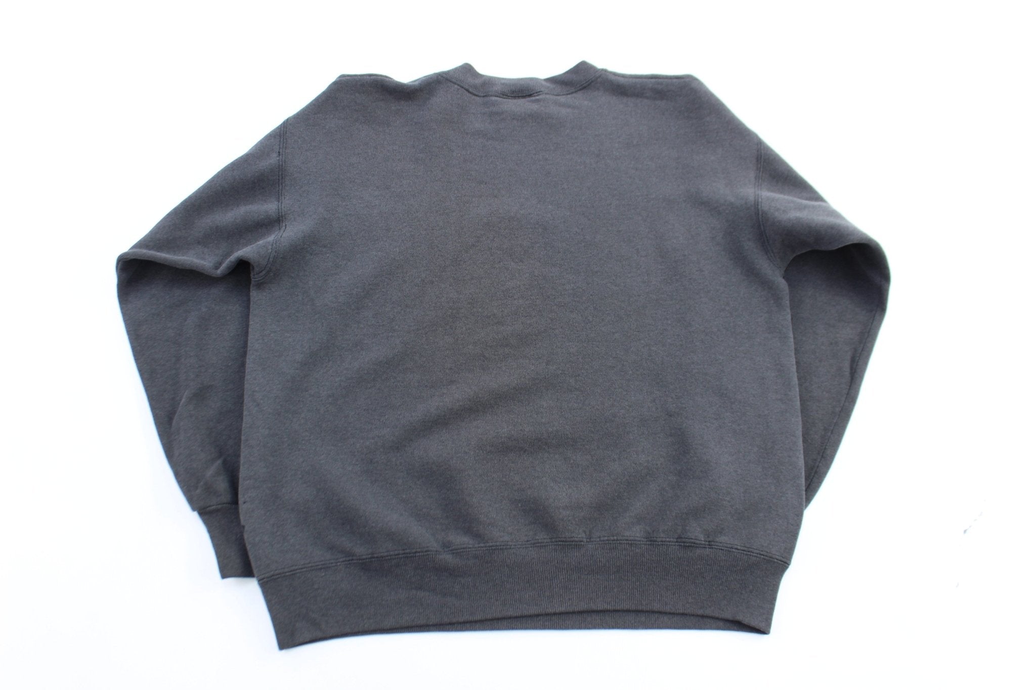 The Disney Store Goofy Graphic Sweatshirt - ThriftedThreads.com