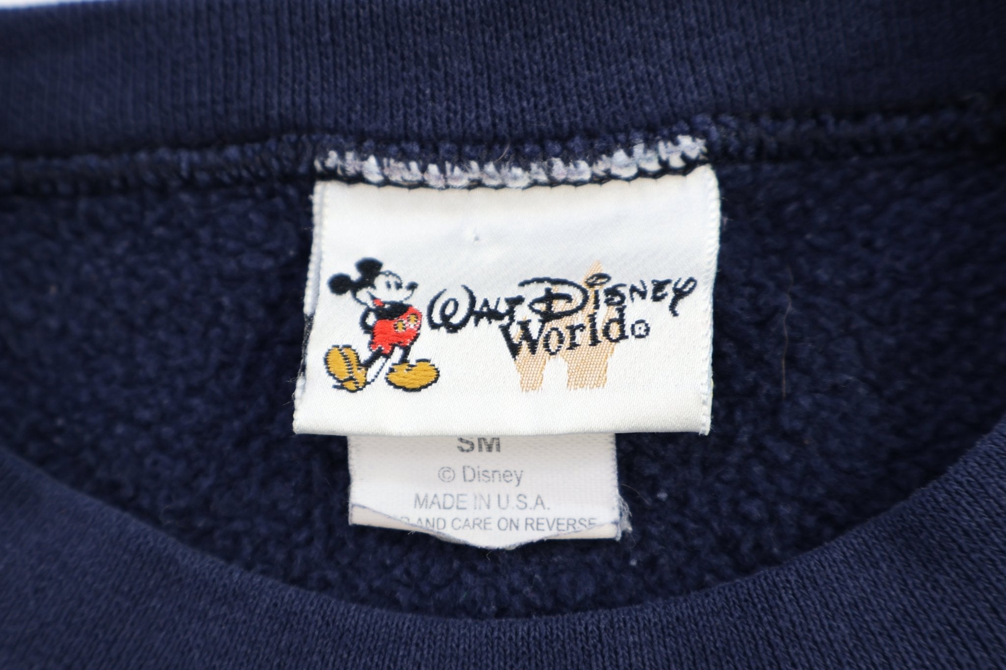 Vintage Disney Animal Kingdom Sweatshirt - Sweatshirt - Thrifted Threads