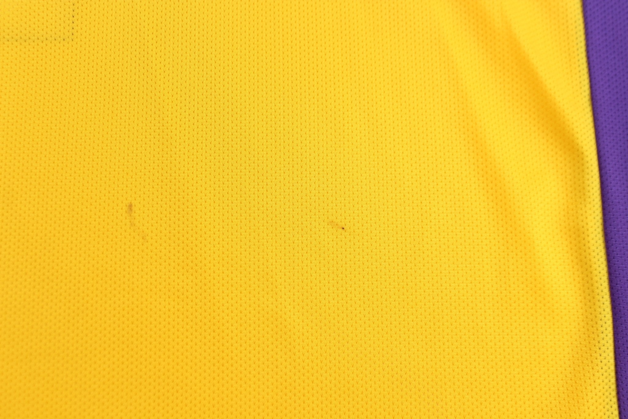 Vintage Los Angeles Lakers Rick Fox Champion Basketball Jersey - ThriftedThreads.com