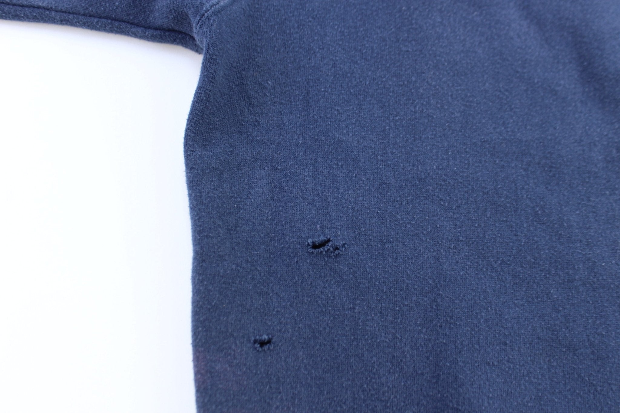 Vintage St. Louis Blues Hockey Embroidered Lee Sport Sweatshirt - ThriftedThreads.com