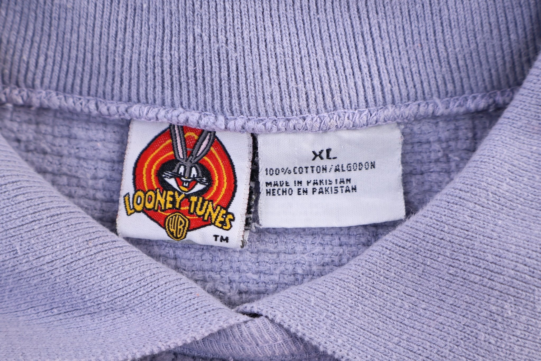 Women's Looney Tunes Pullover Sweater - Sweater - Thrifted Threads